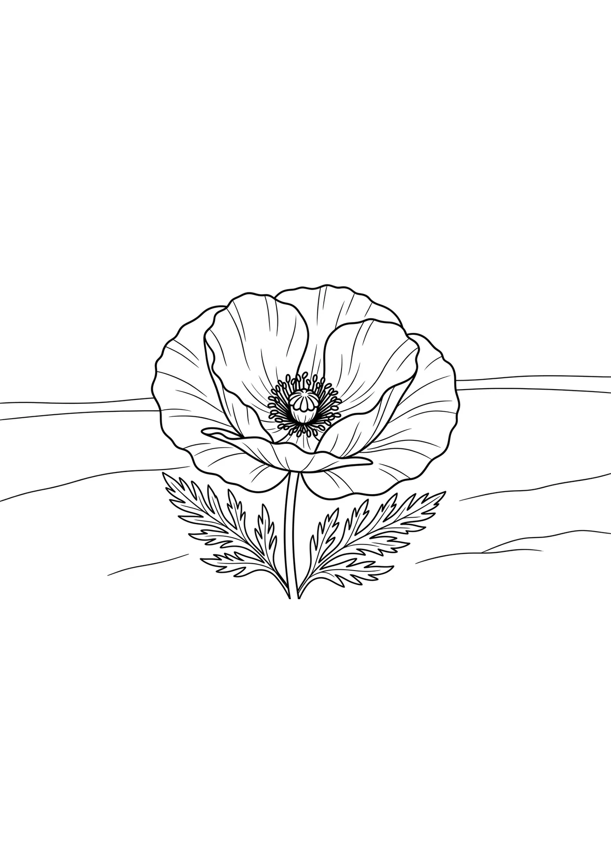 Poppy Flower Coloring Pages for Kids Ages 2 to 5