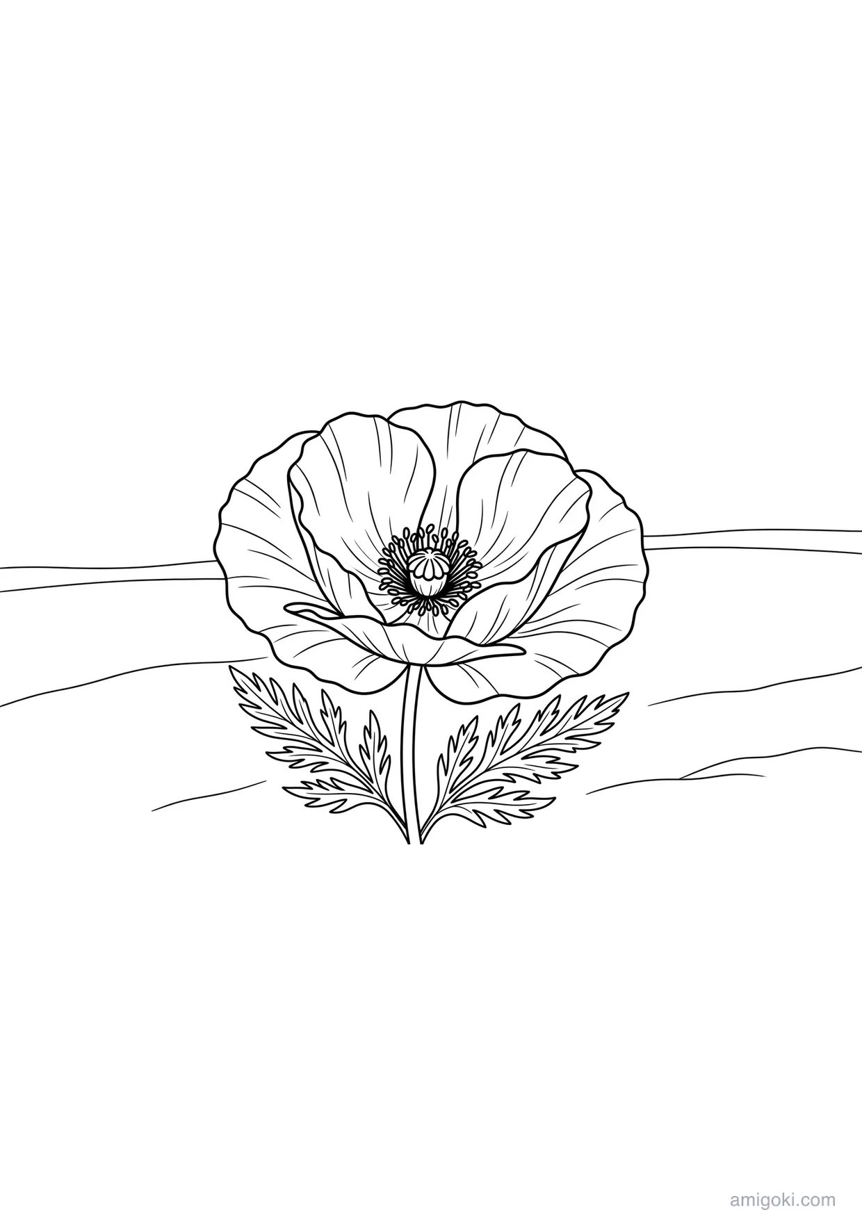 Detailed Poppy Drawing to Color for Ages 6+