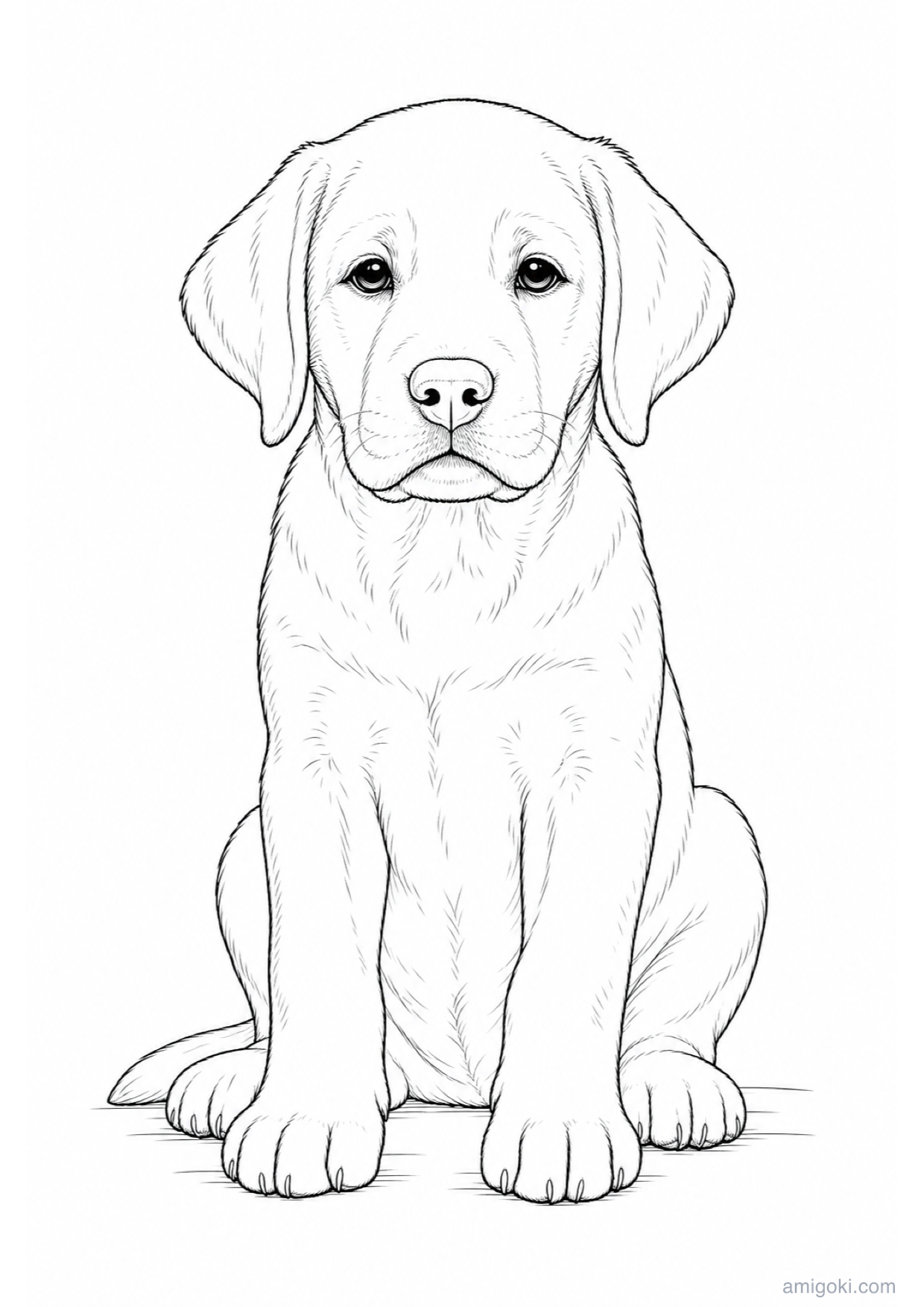 Dibujo de Cachorro de Labrador para Colorear e Imprimir