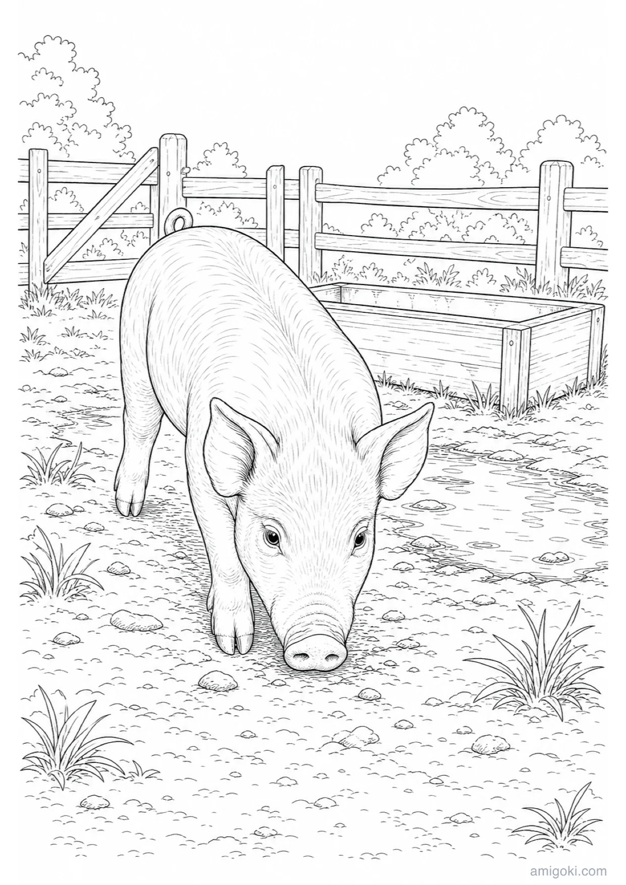 Dessin de Porcelet à Colorier et Imprimer