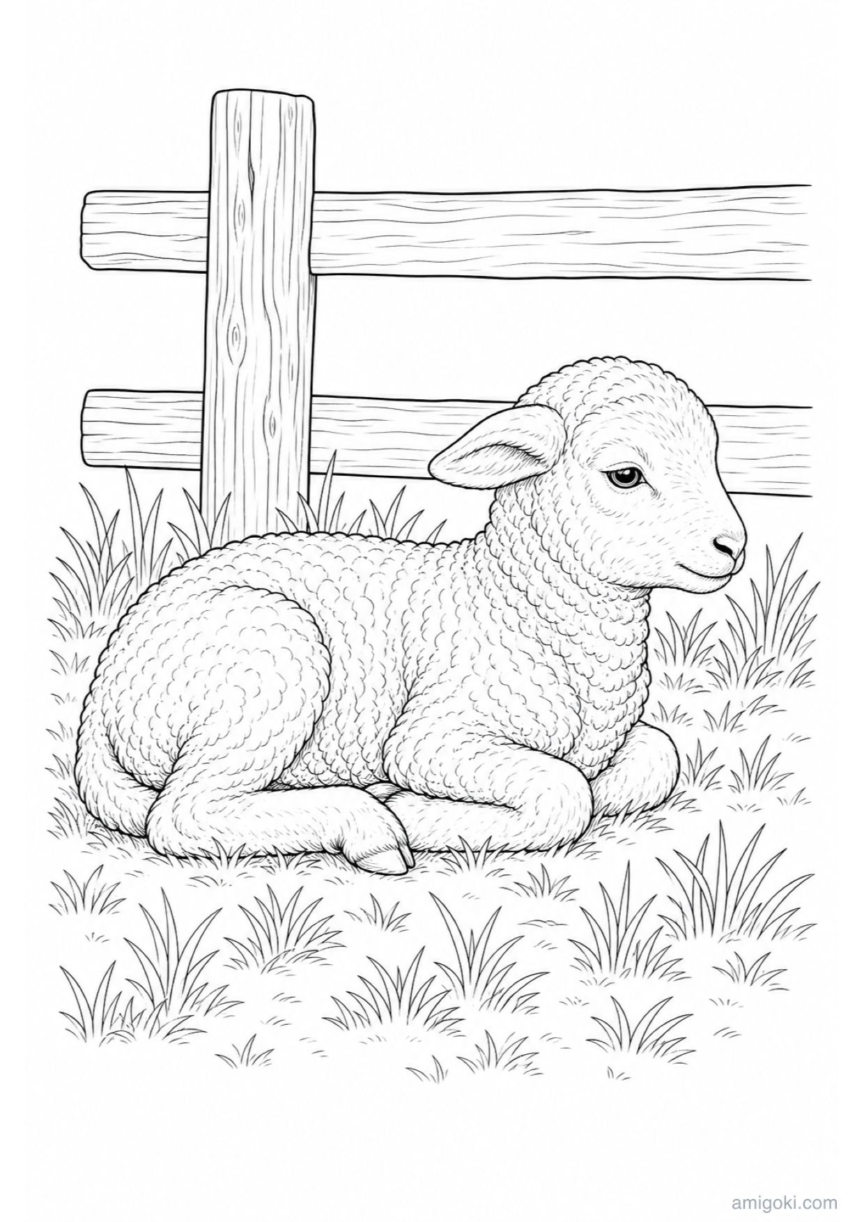 Dibujo de Cordero para Colorear e Imprimir