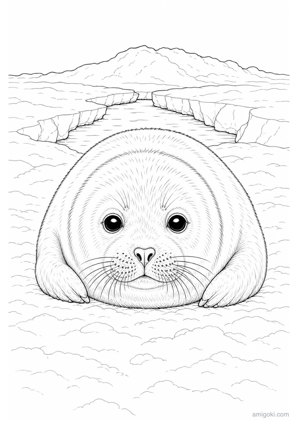 Dibujo de Cría de Foca para Colorear e Imprimir