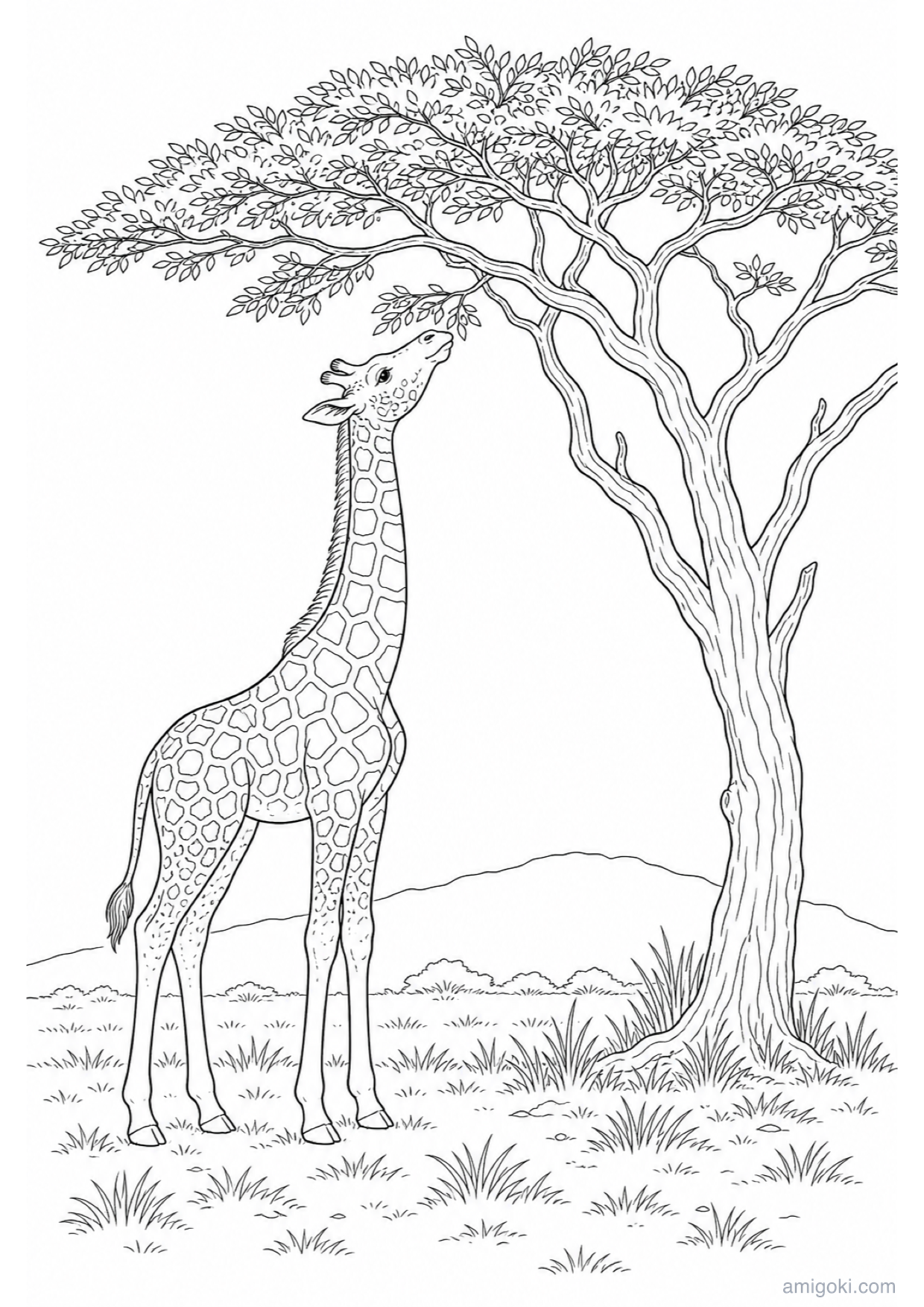 Dibujo de Jirafa Bebé para Colorear e Imprimir