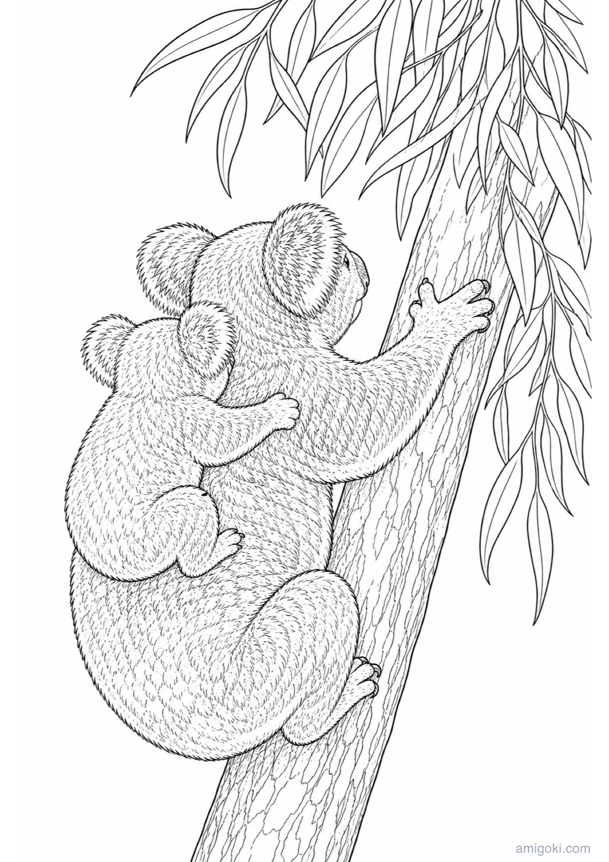 Dibujo de Koala Bebé para Colorear e Imprimir