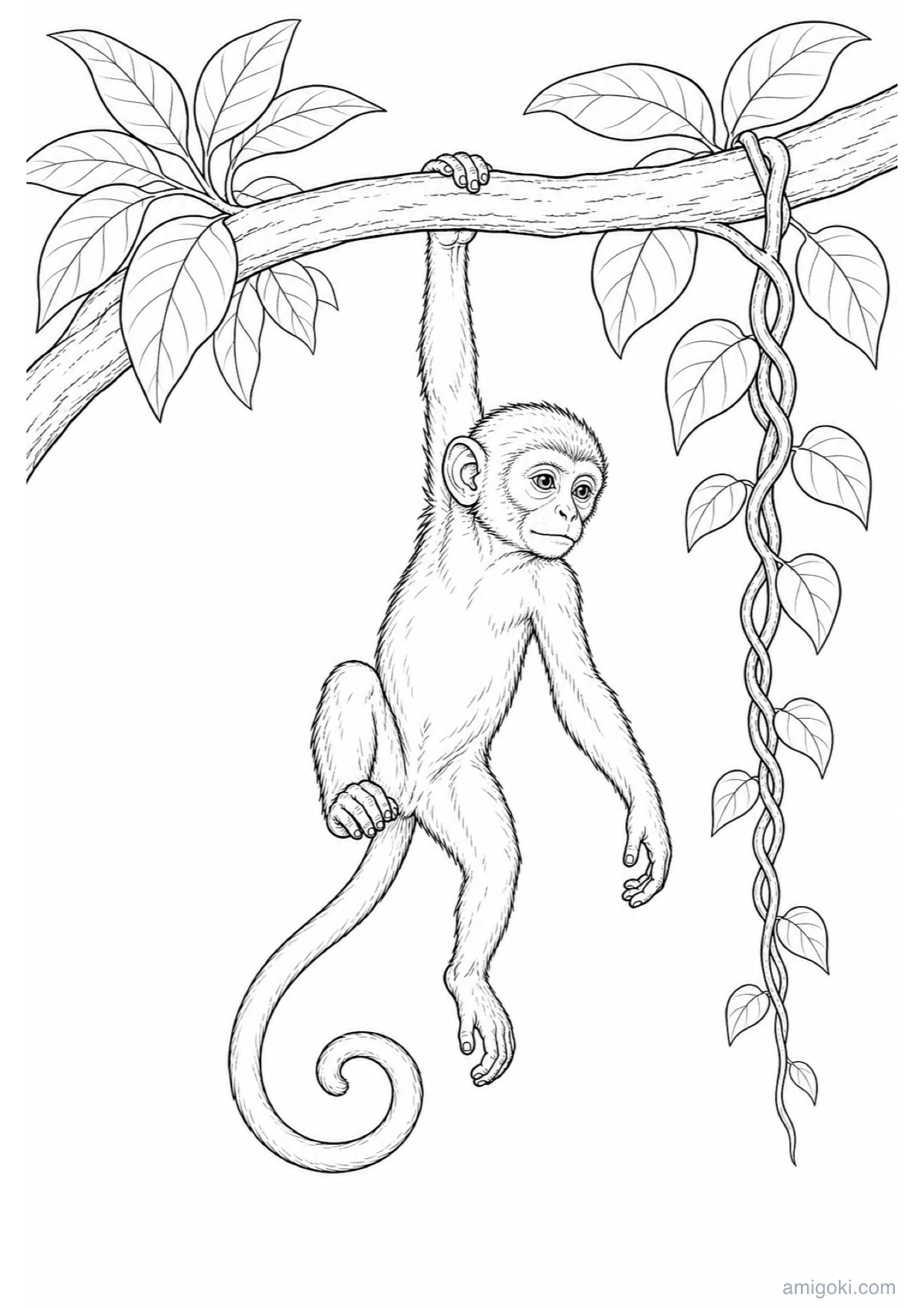 Dessin de Bébé Singe à Colorier et Imprimer