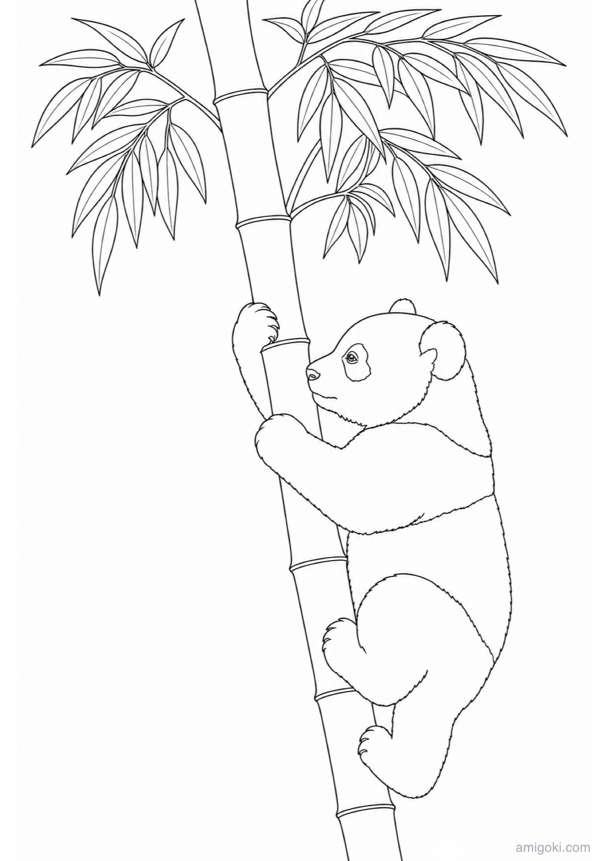 Dibujo de Panda Bebé para Colorear e Imprimir