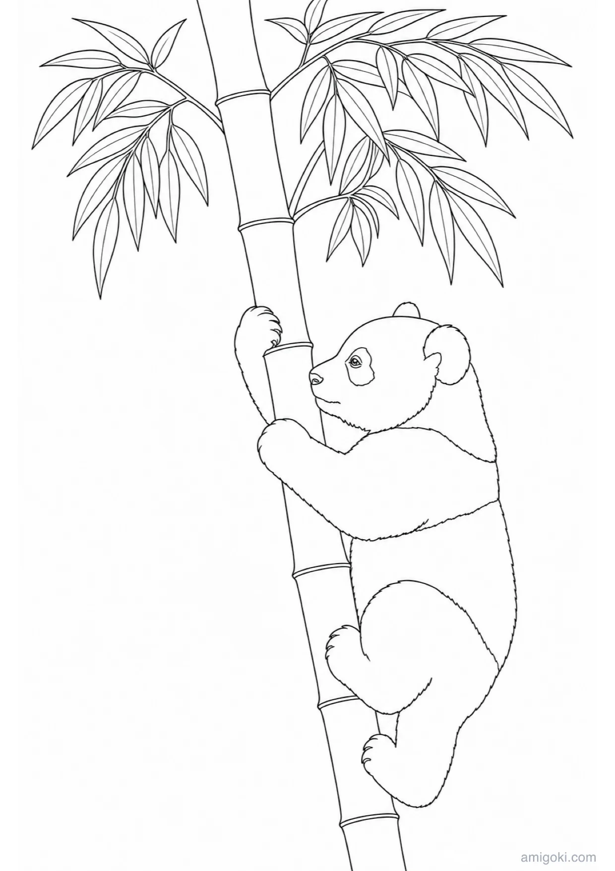 Dibujo de Panda Bebé para Colorear e Imprimir