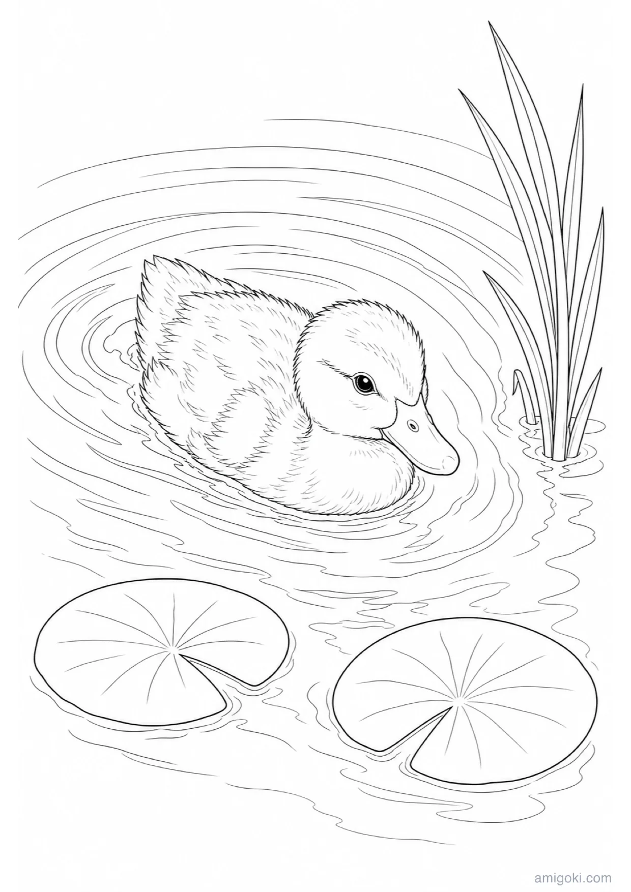 Dibujo de Patito Nadando para Colorear e Imprimir