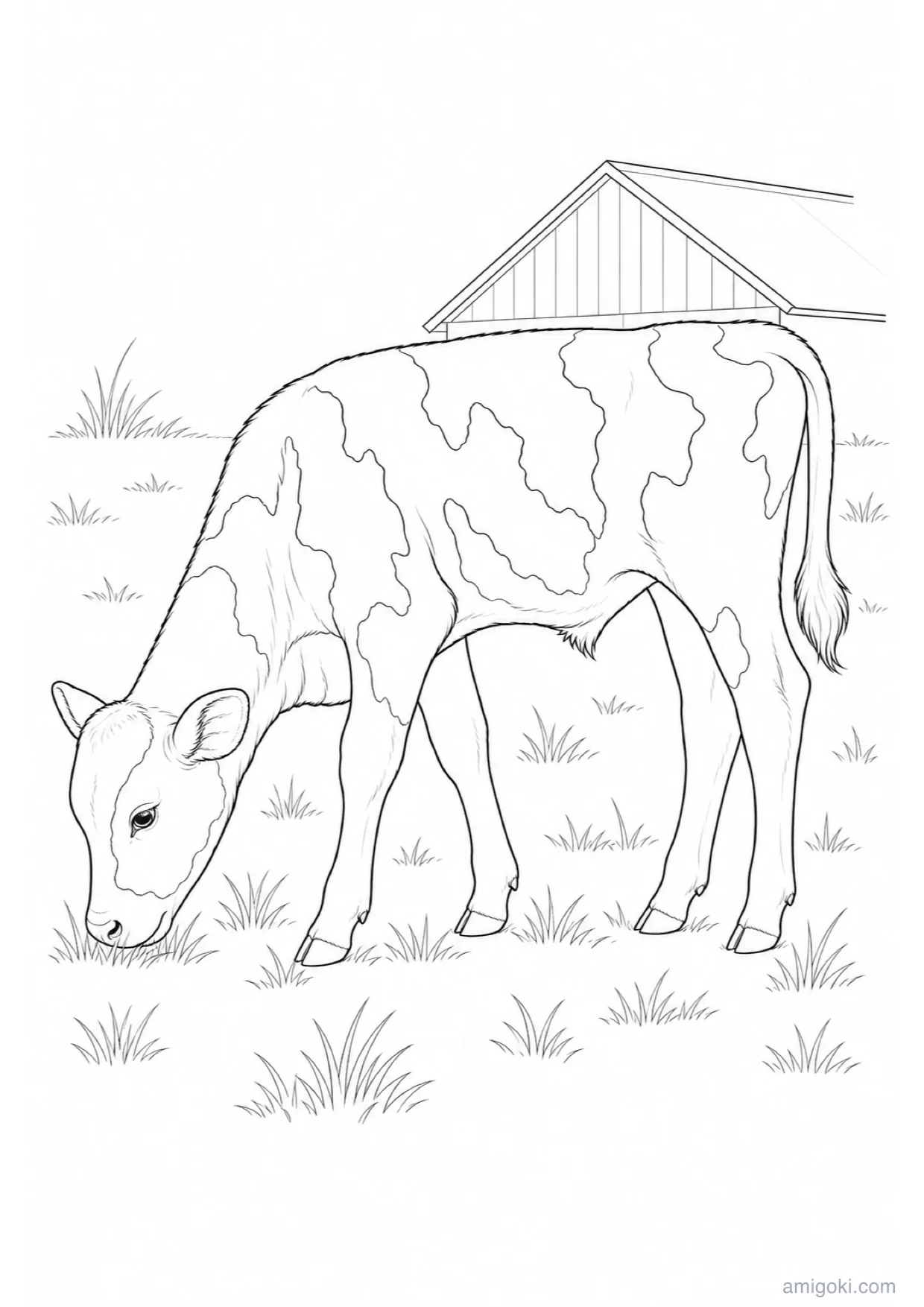 Grazing Calf Coloring Page to Print Free