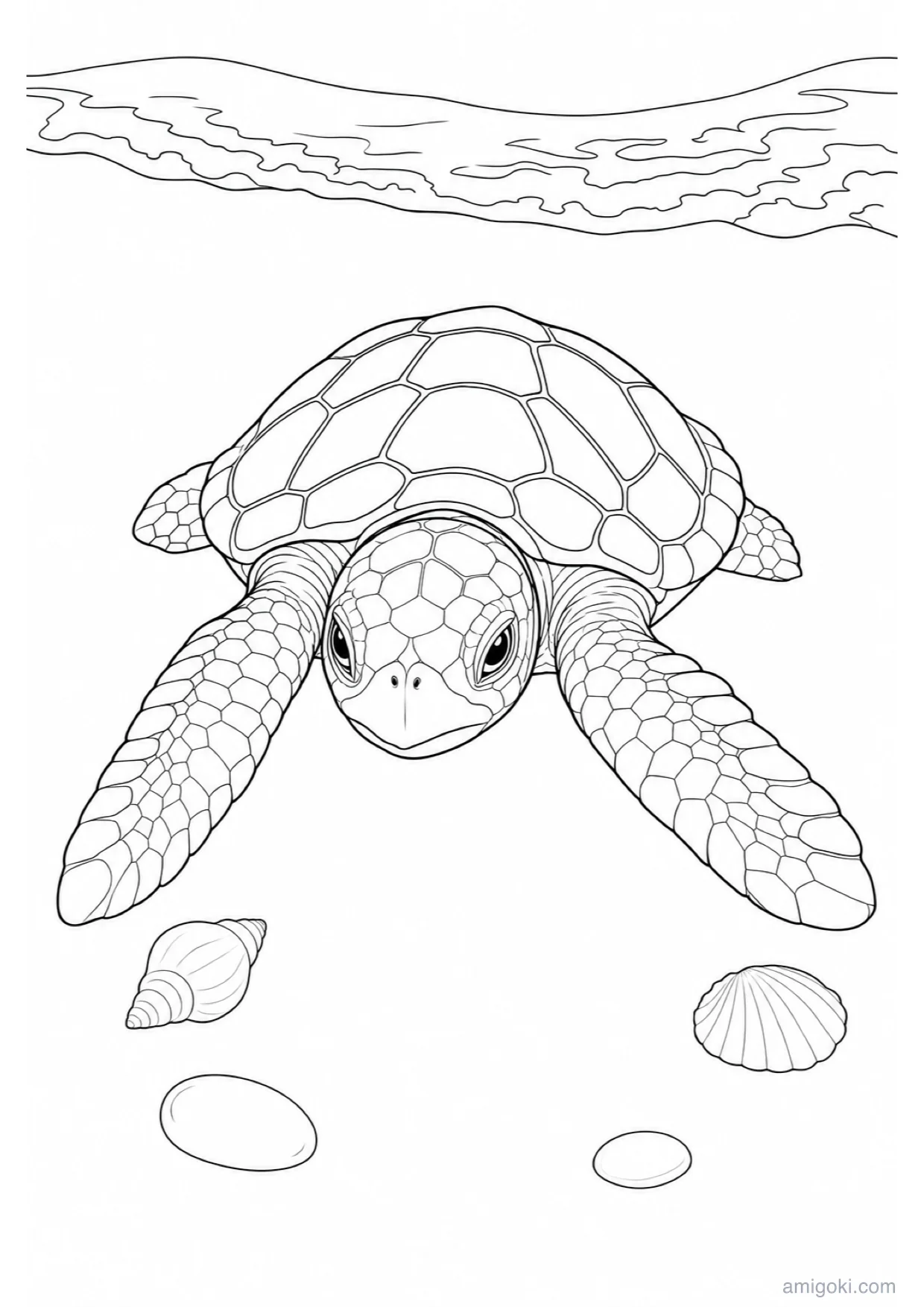 Dibujo de Tortuga Bebé para Colorear e Imprimir