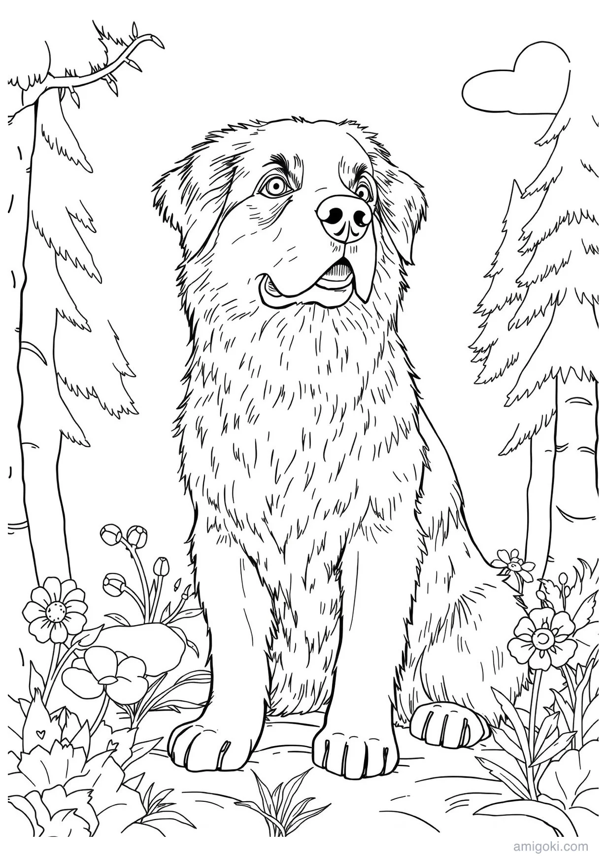 Bernese Mountain Dog Drawing to Color for Kids 6 and Up