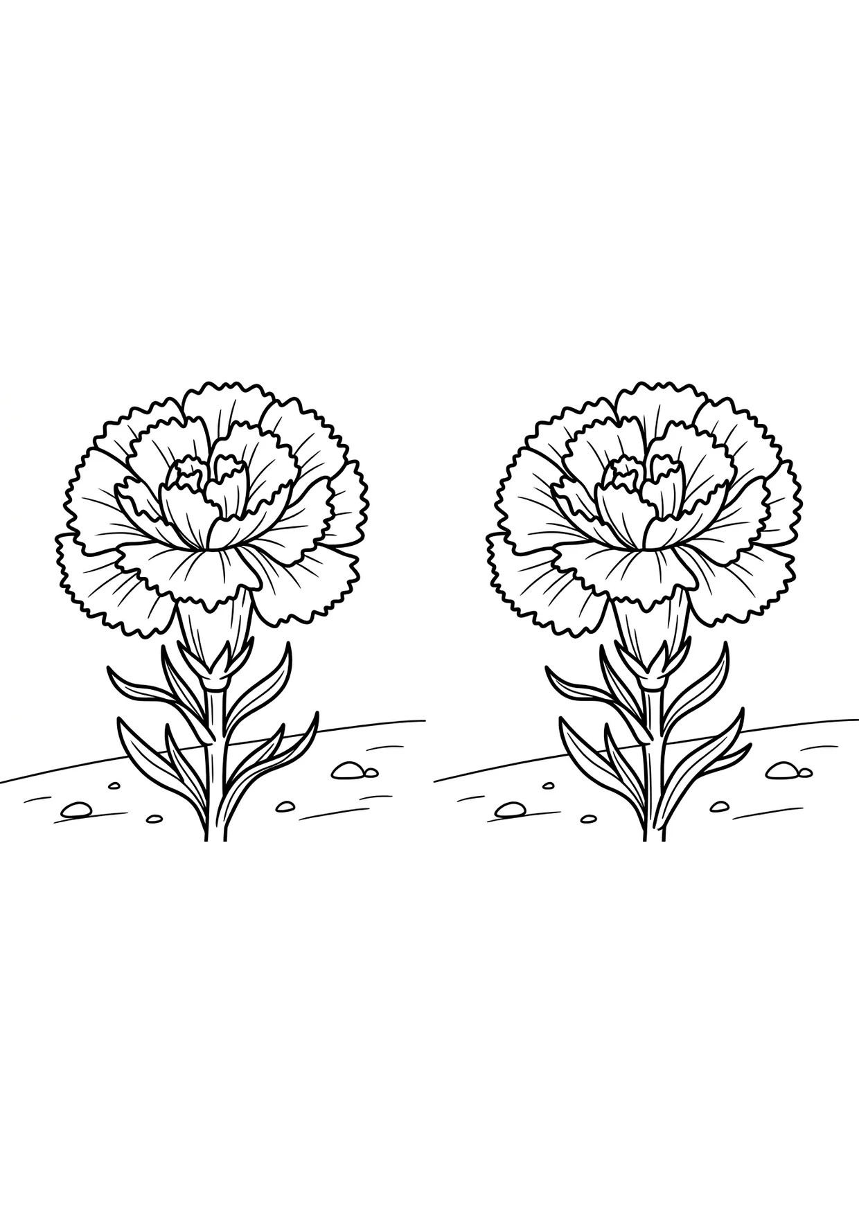 Carnation Flower Coloring Page for Kids Ages 2-5