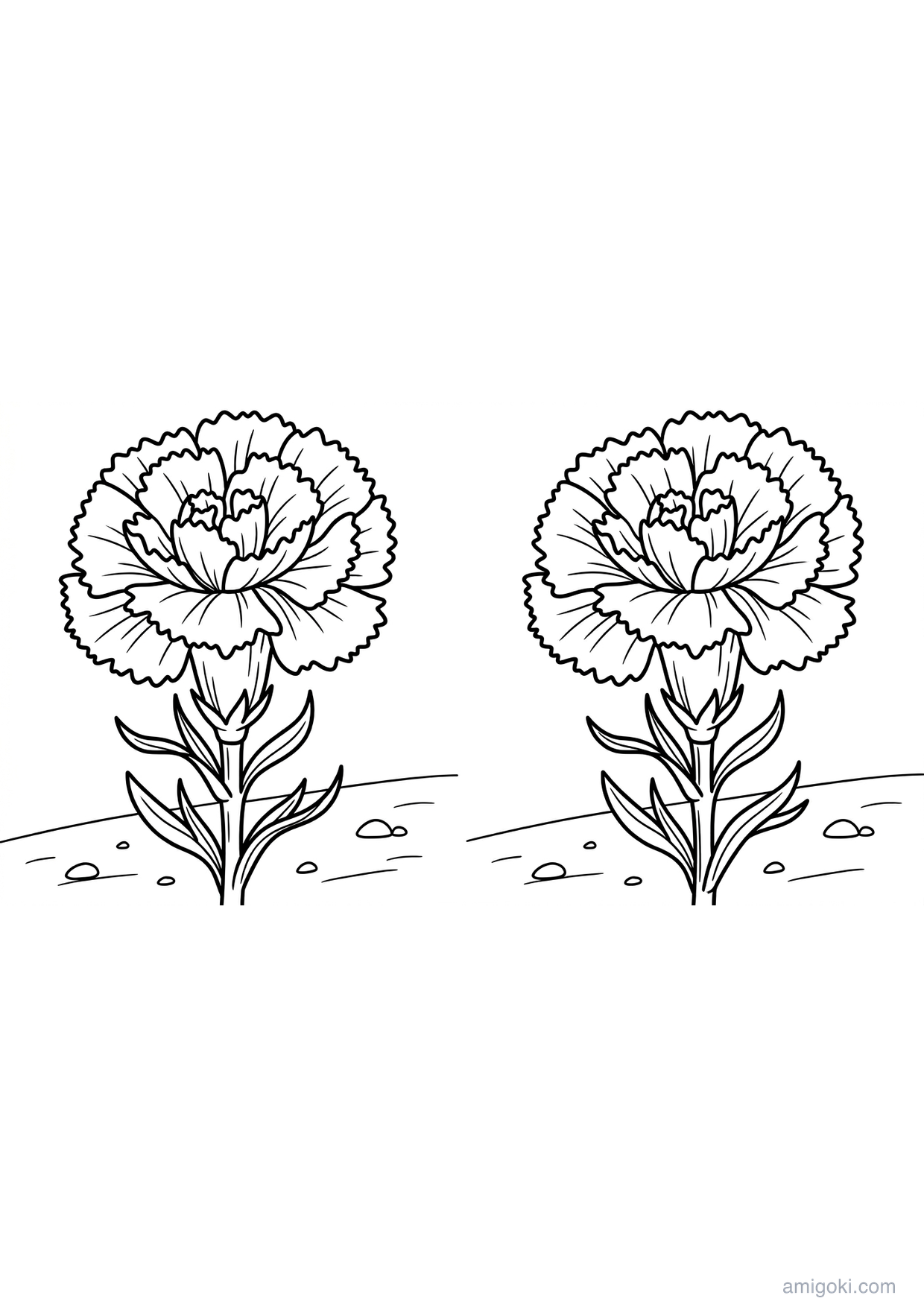 Free carnation coloring page printable PDF drawing for kids ages 5-8
