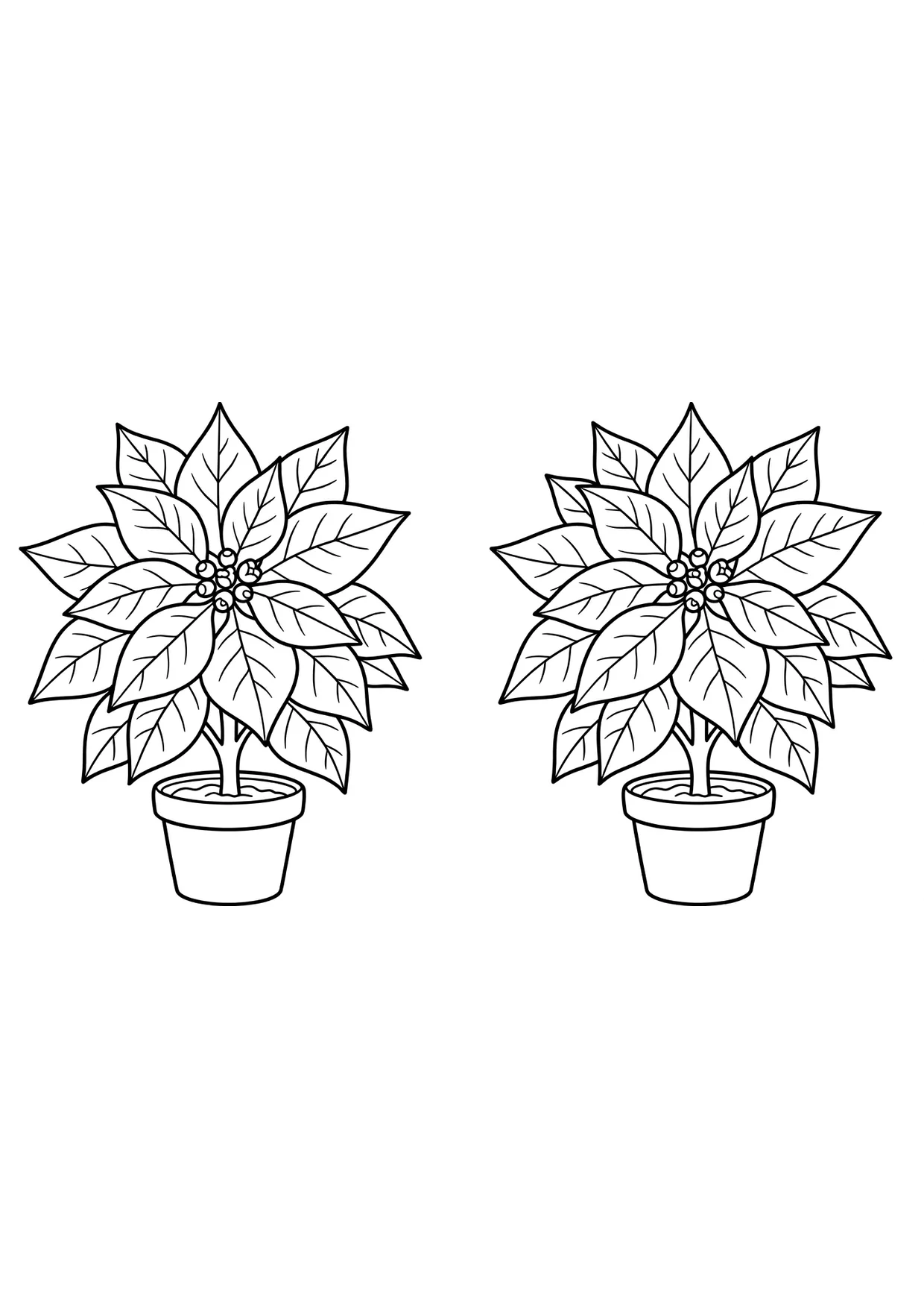 Desenho de Flor de Natal para Colorir para Crianças de 2 a 5 Anos