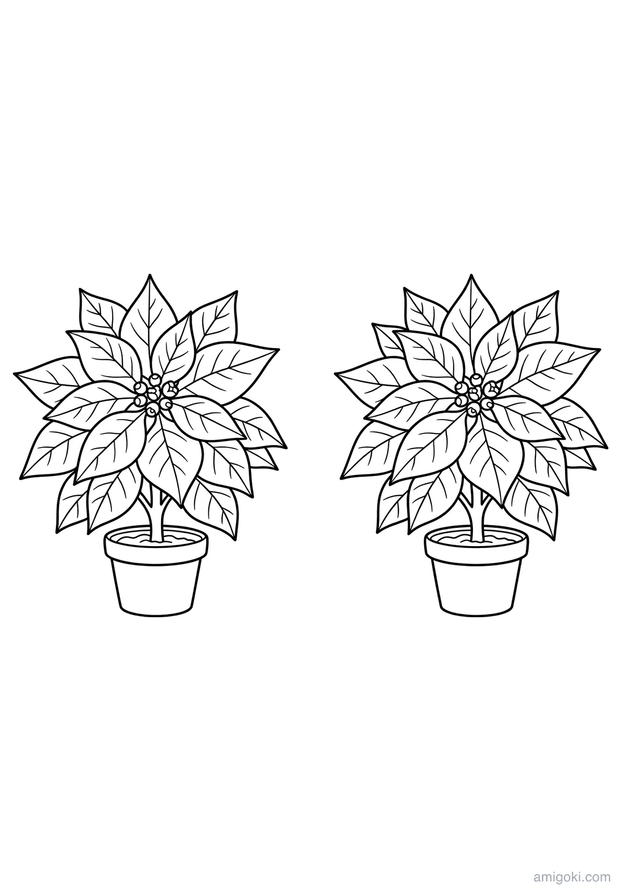 Dessin de Fleur de Noël à Colorier pour Enfants de 6 Ans et Plus
