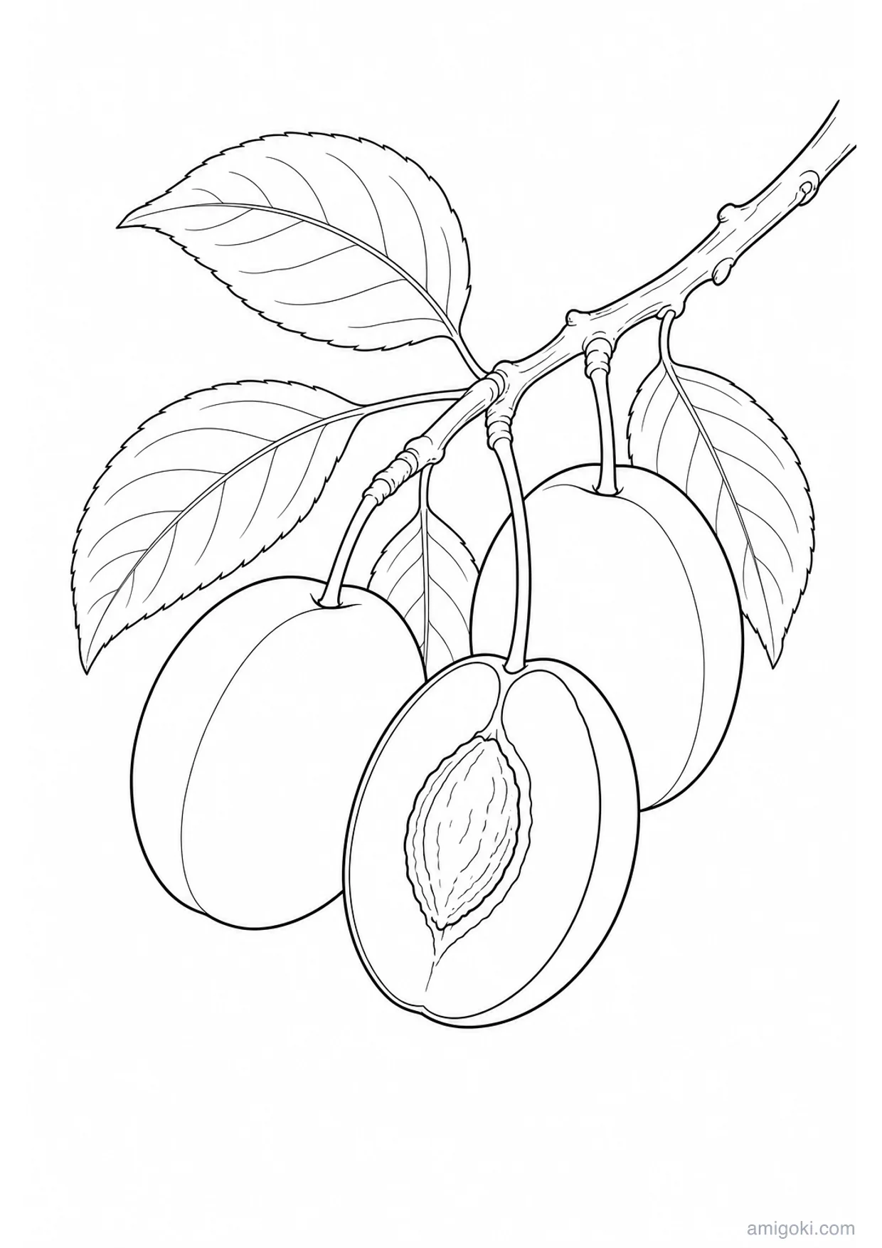 Dessin de Prunes à Colorier et Imprimer