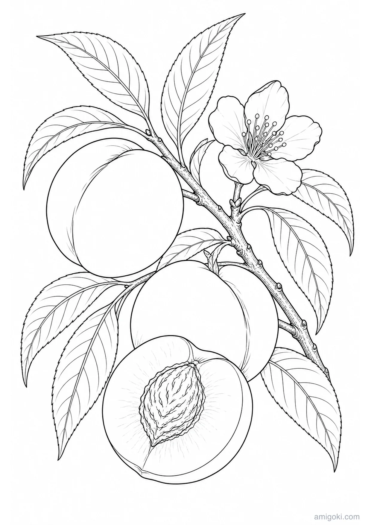 Peaches Coloring Page to Print Free