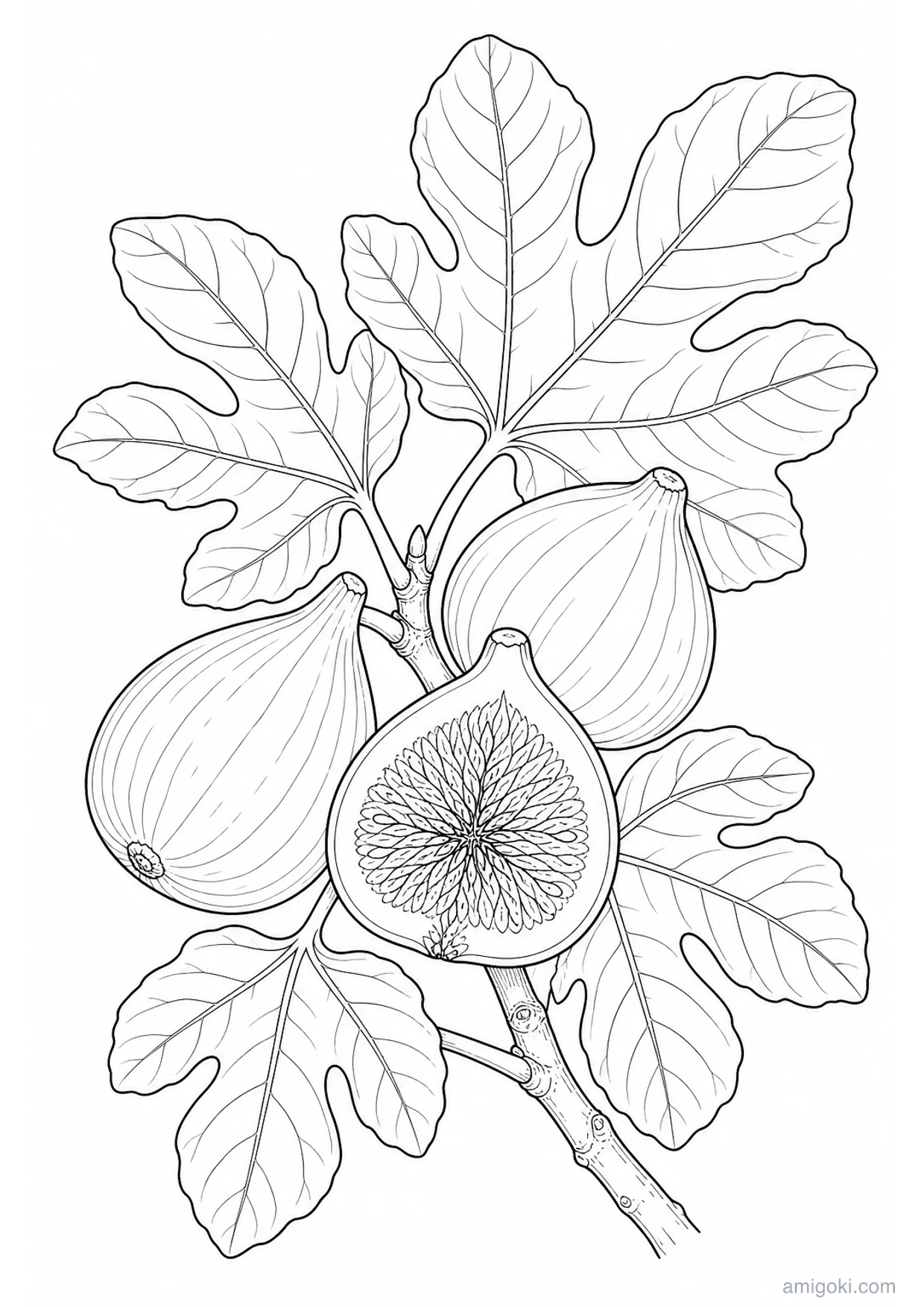 Dessin de Figues à Colorier et Imprimer