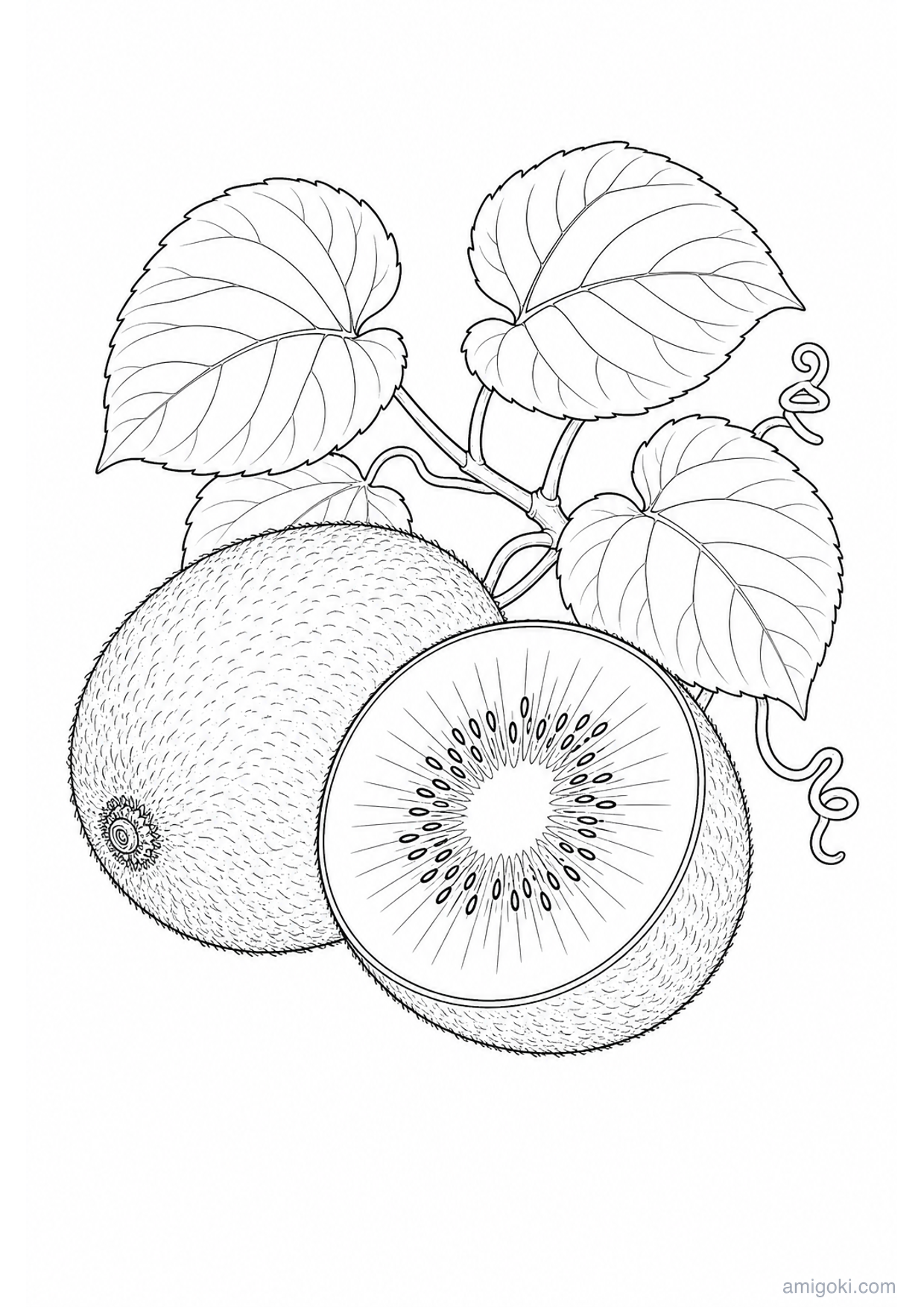 Kiwi Fruit Coloring Page to Print Free