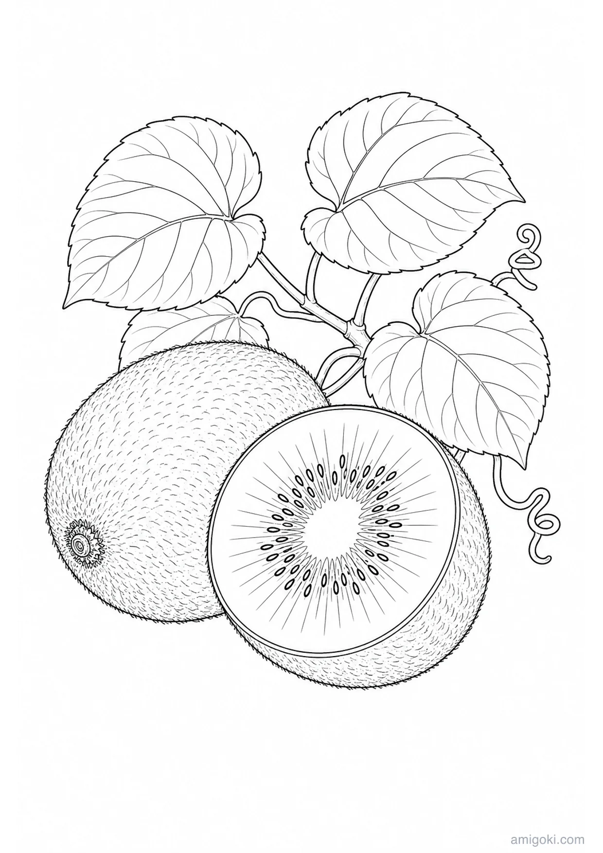 Dessin de Kiwi à Colorier et Imprimer