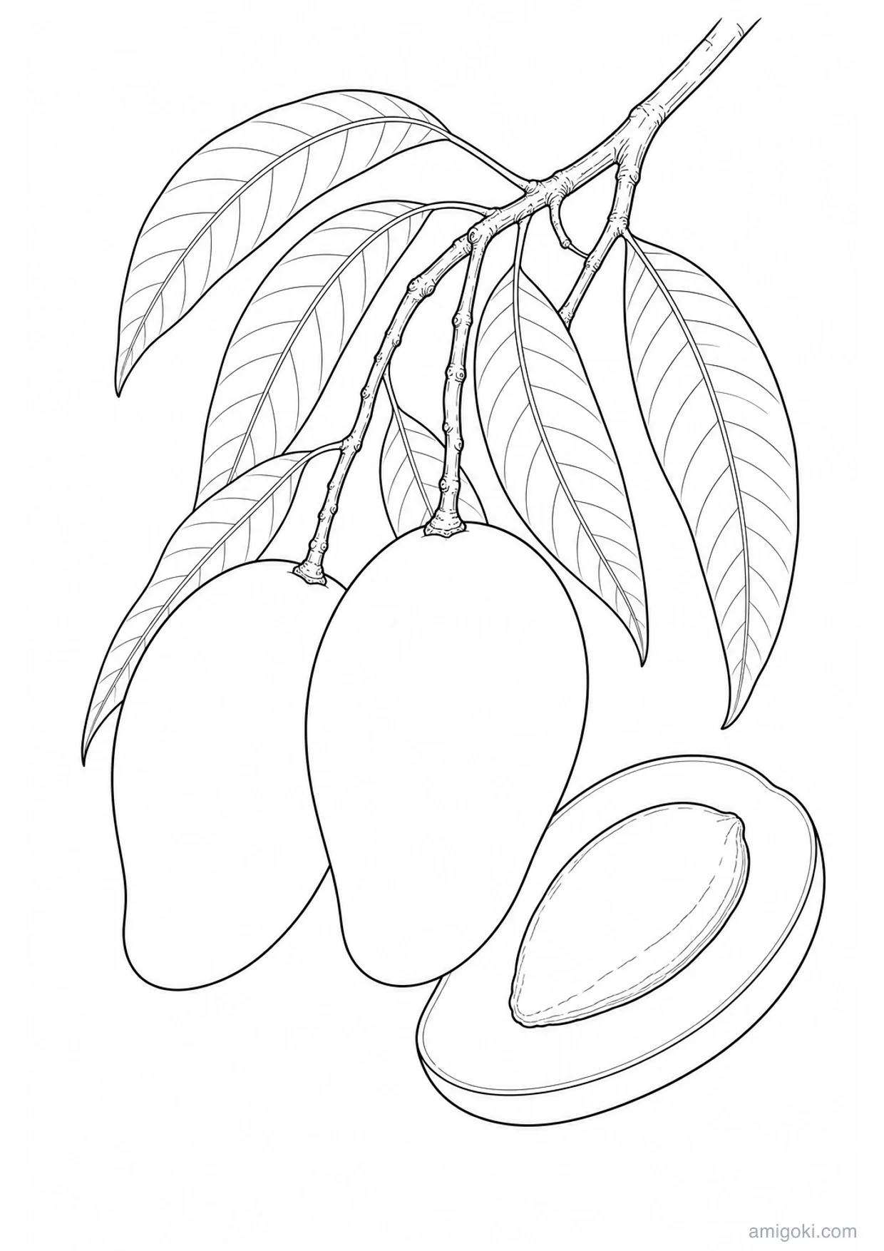 Dibujo de Mango para Colorear e Imprimir