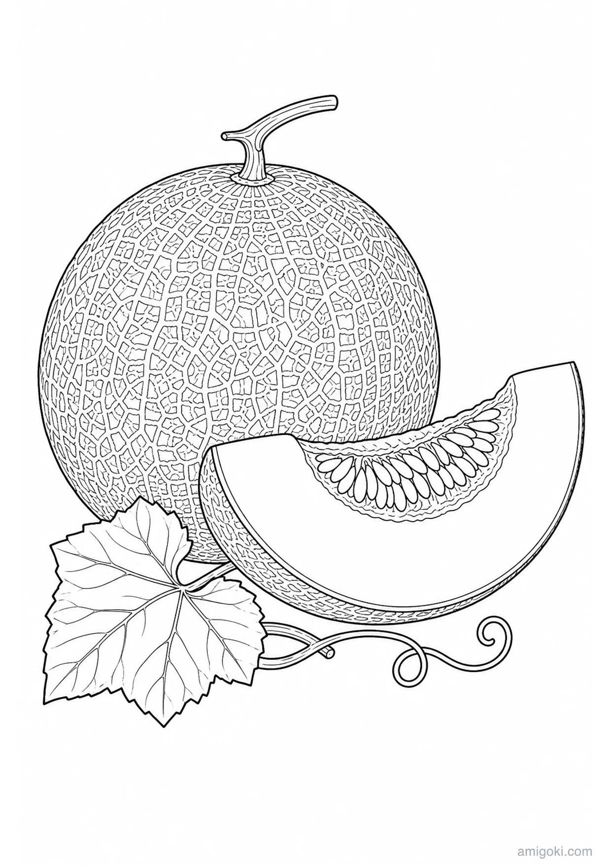 Melon Coloring Page to Print Free