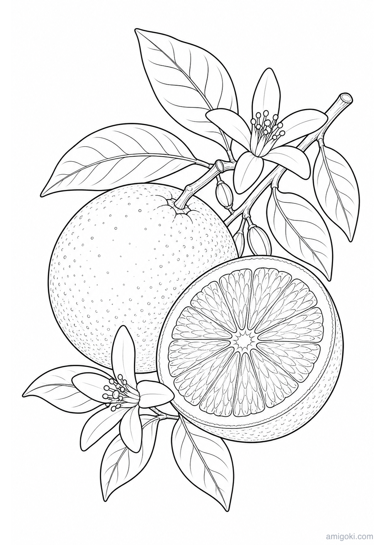 Dibujo de Naranja con Azahar para Colorear e Imprimir