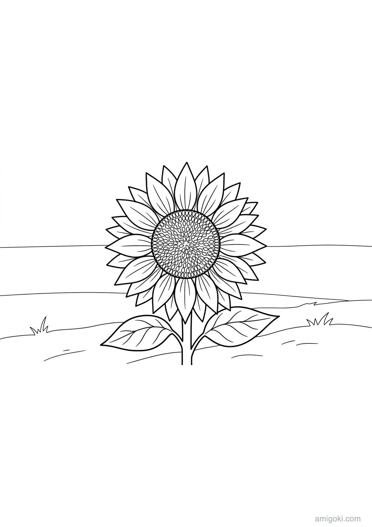 Dibujo de Girasol para Colorear para Mayores de 6 Años