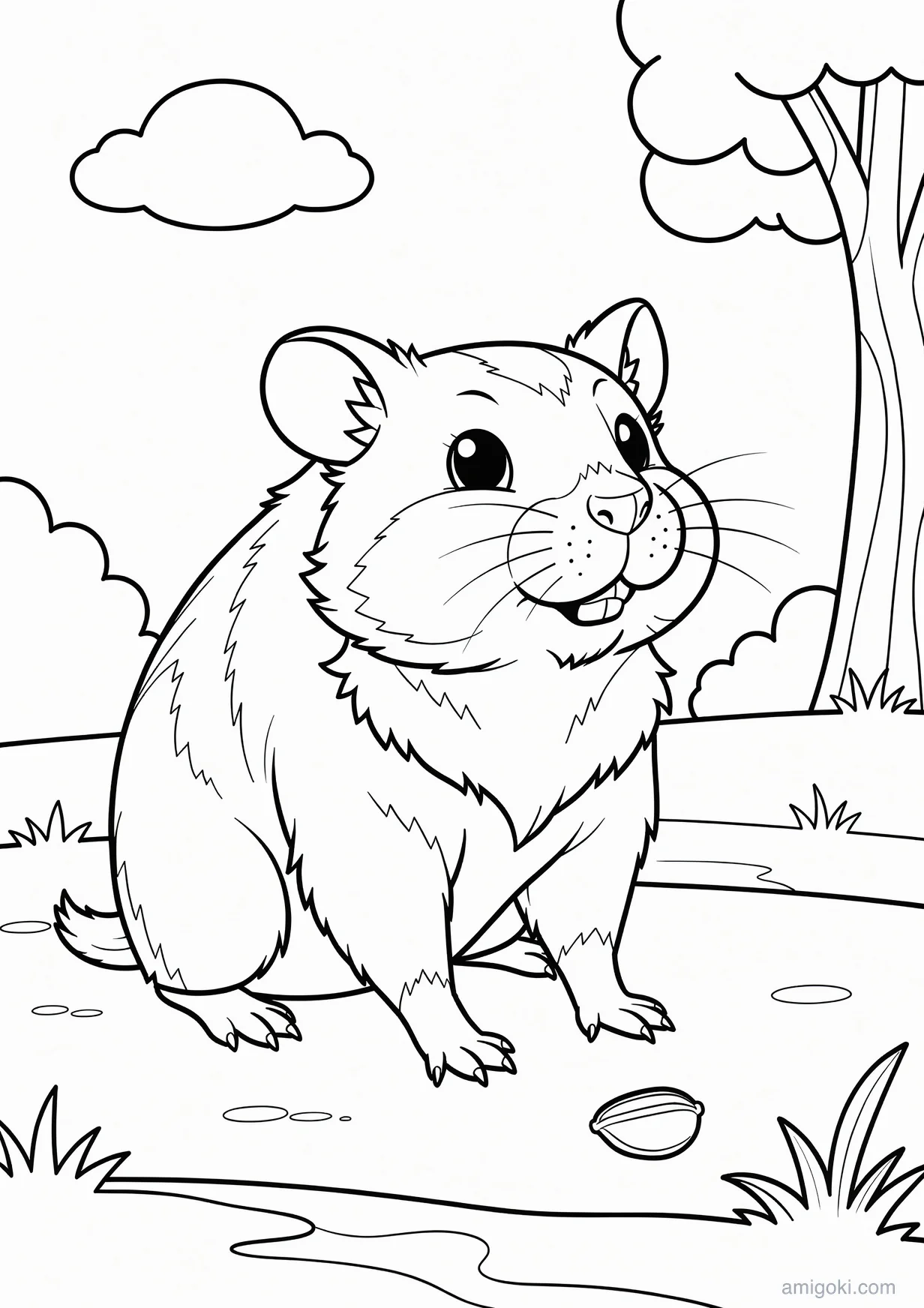 Detailed Hamster Coloring Page for Kids 6 and Up