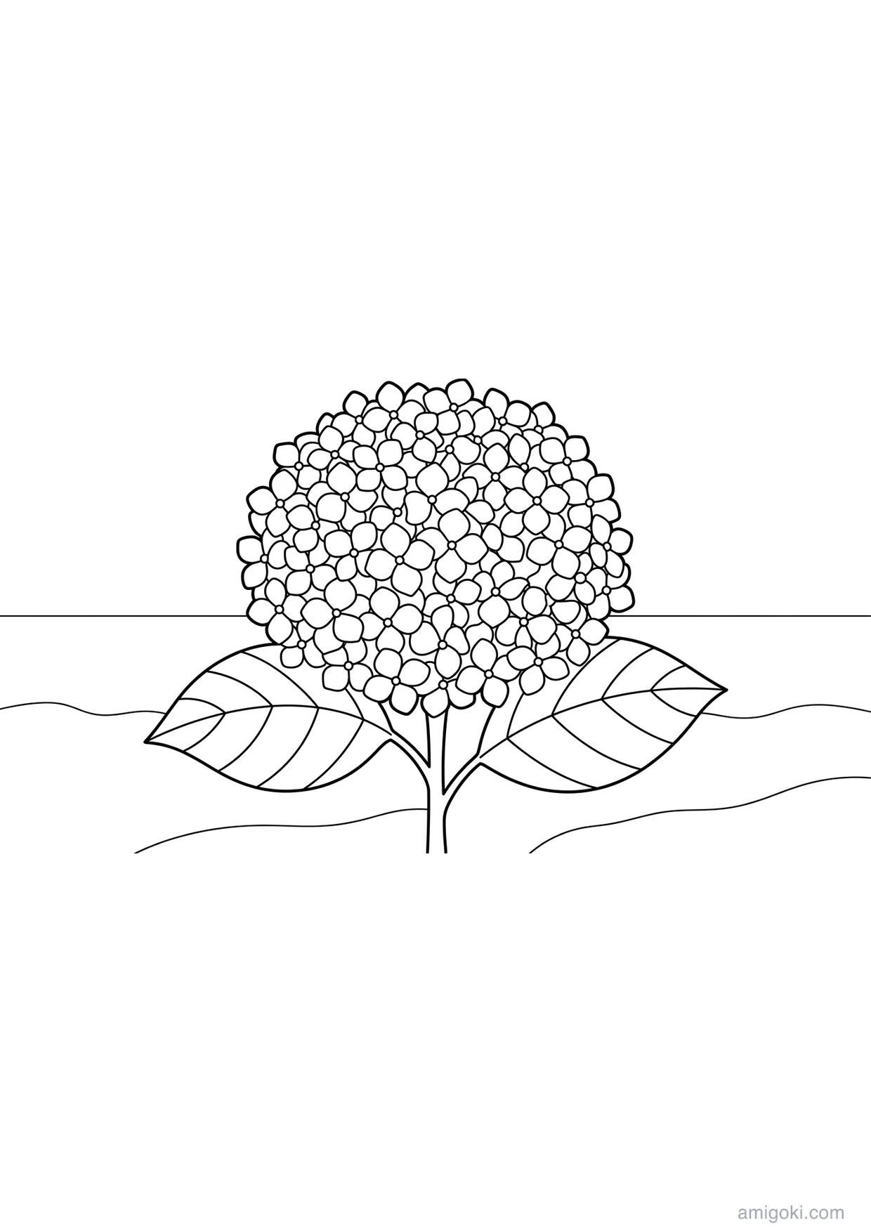 Detailed Hydrangea Coloring Page for Kids 6+