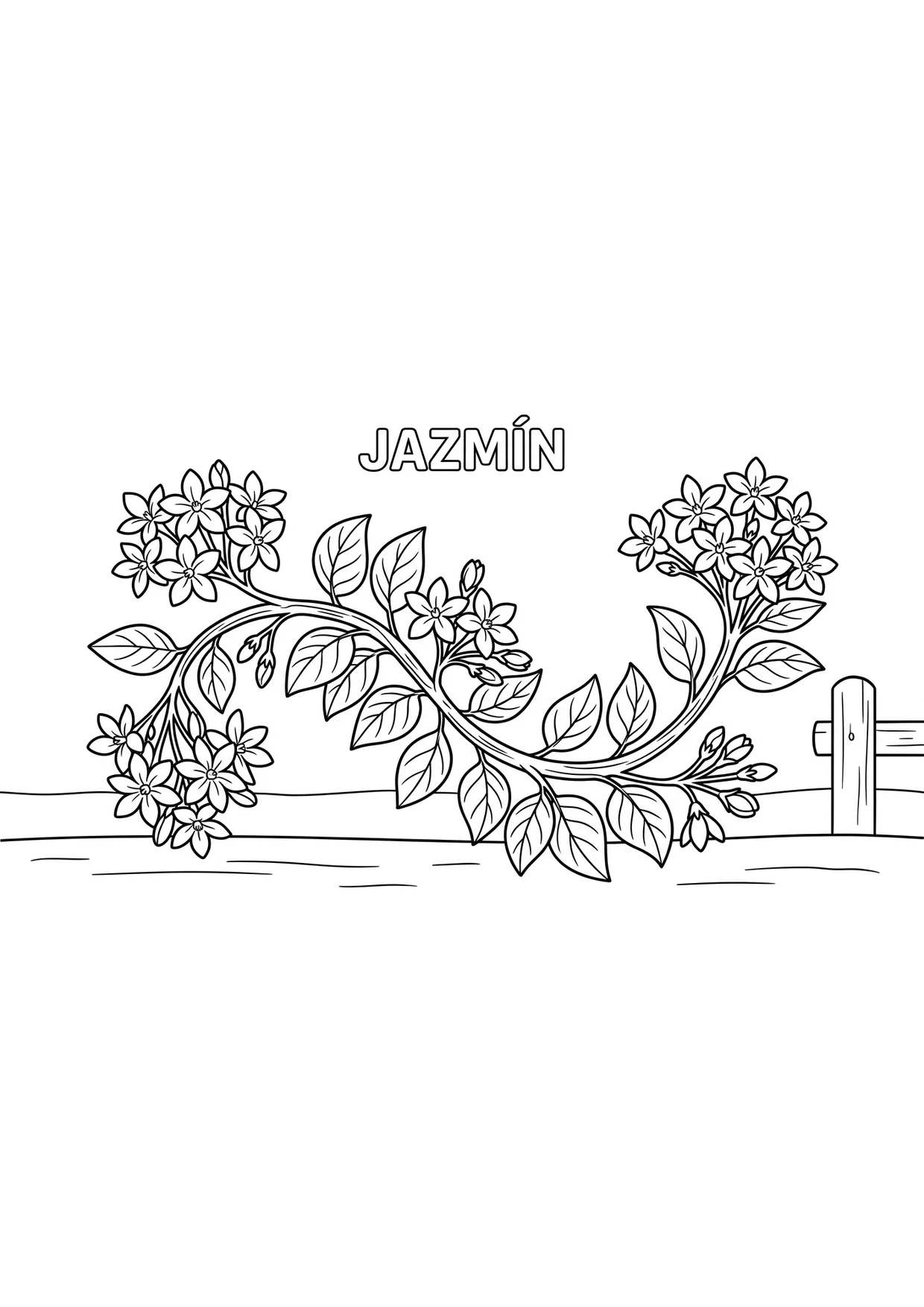 Jasmine Flower Coloring Page for Kids Ages 2 to 5