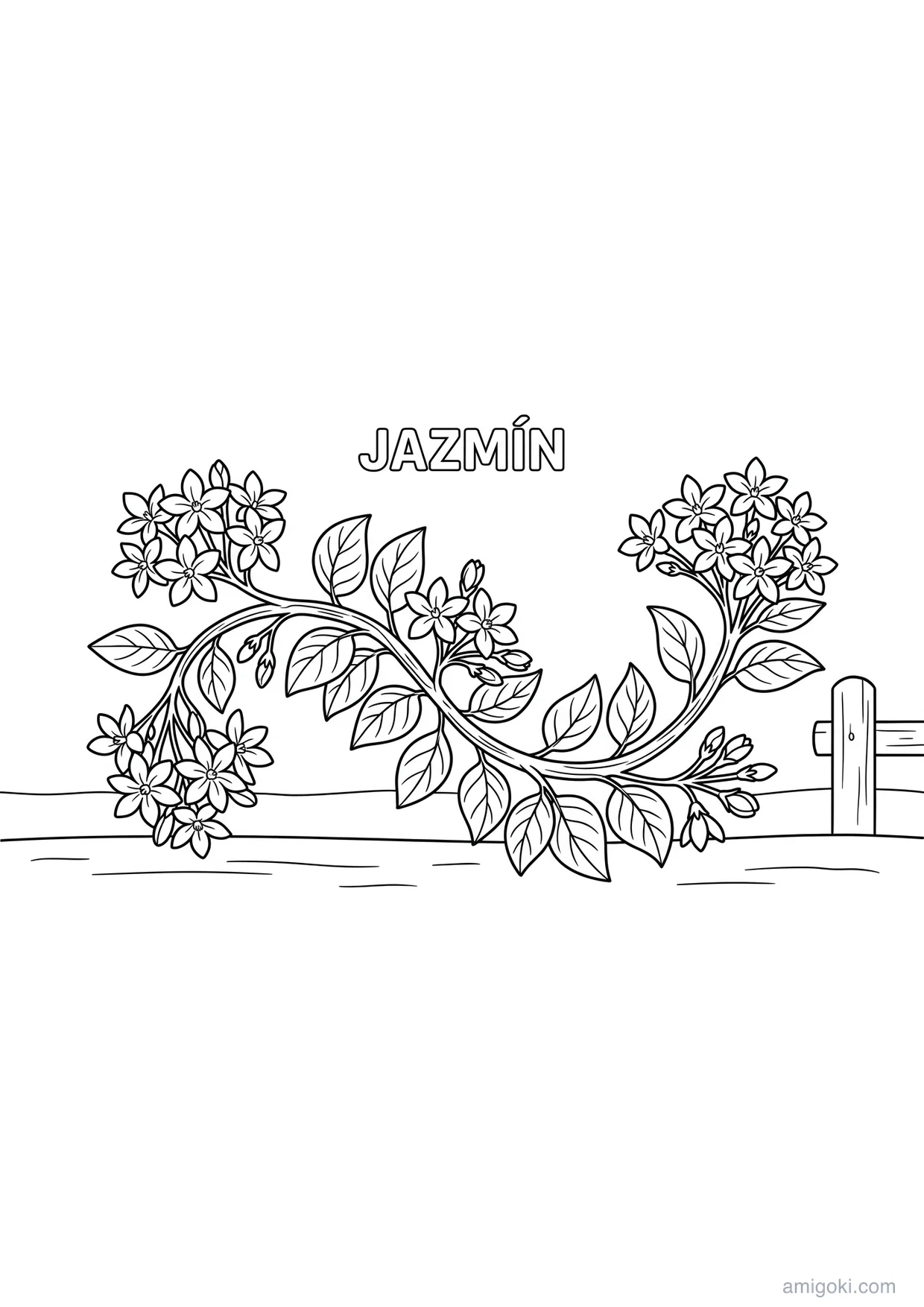 Jasmine Flower Coloring Page for Ages 6+