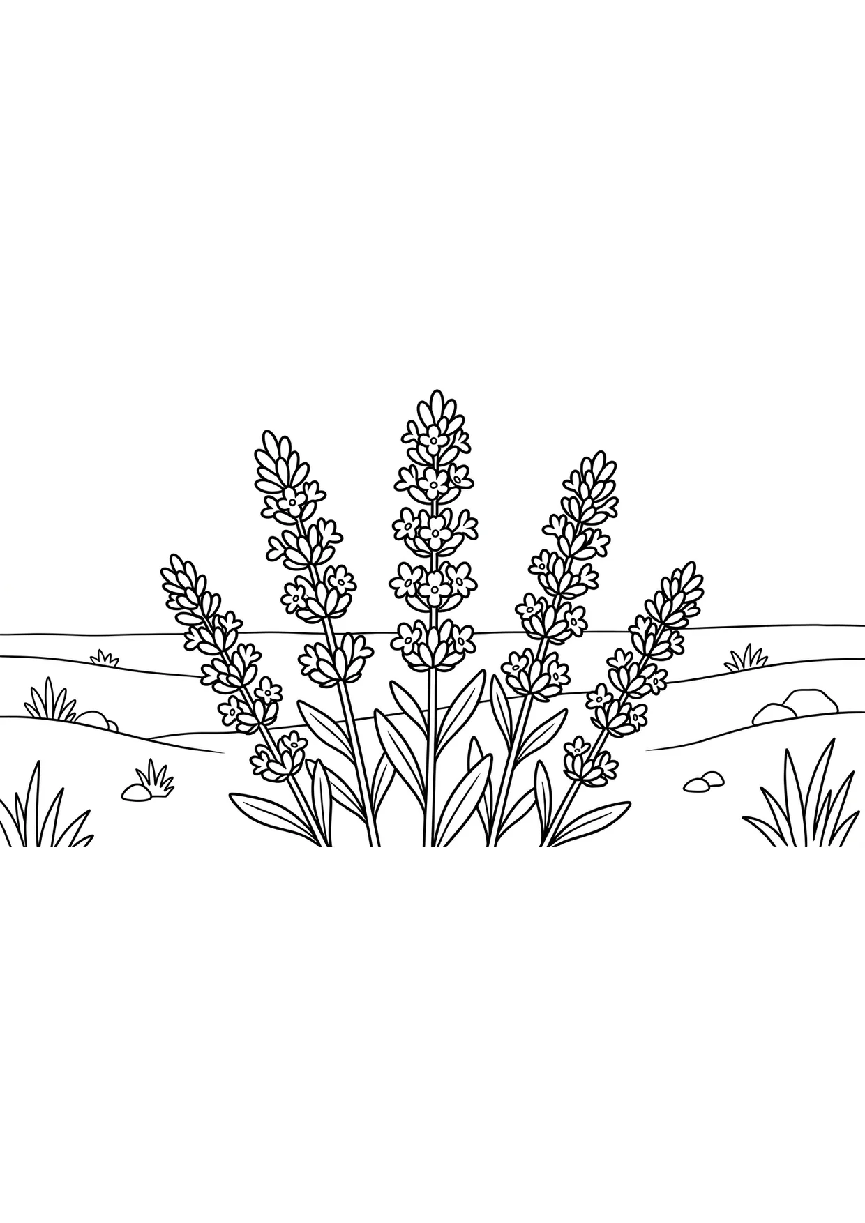 Lavender Coloring Page for Kids Ages 2 to 5