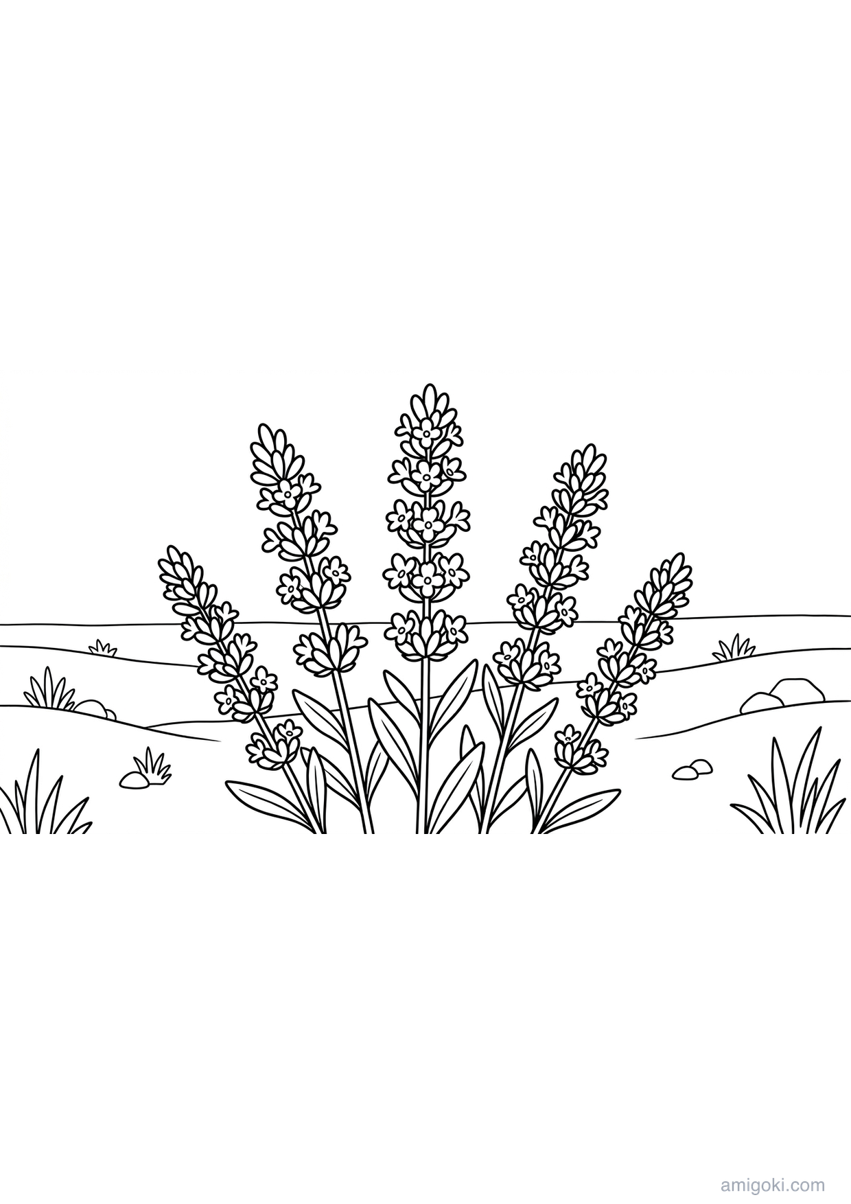 Lavender coloring page with simple flowers, free printable drawing for kids ages 5-8