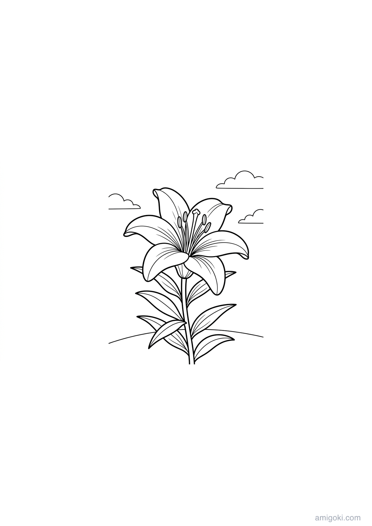 Lily flower coloring page for kids, free printable PDF drawing for children ages 5-8