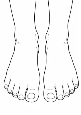 Os pés para colorir — ficha do corpo humano imprimível