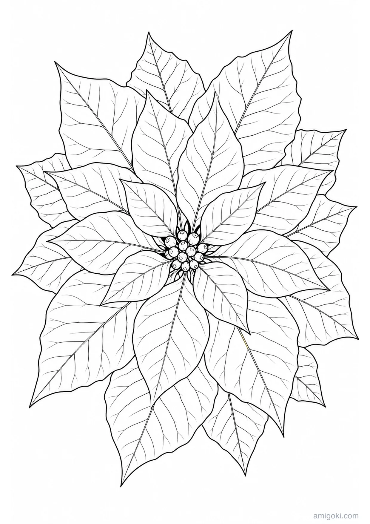 Dibujo de Flor de Pascua para Colorear e Imprimir