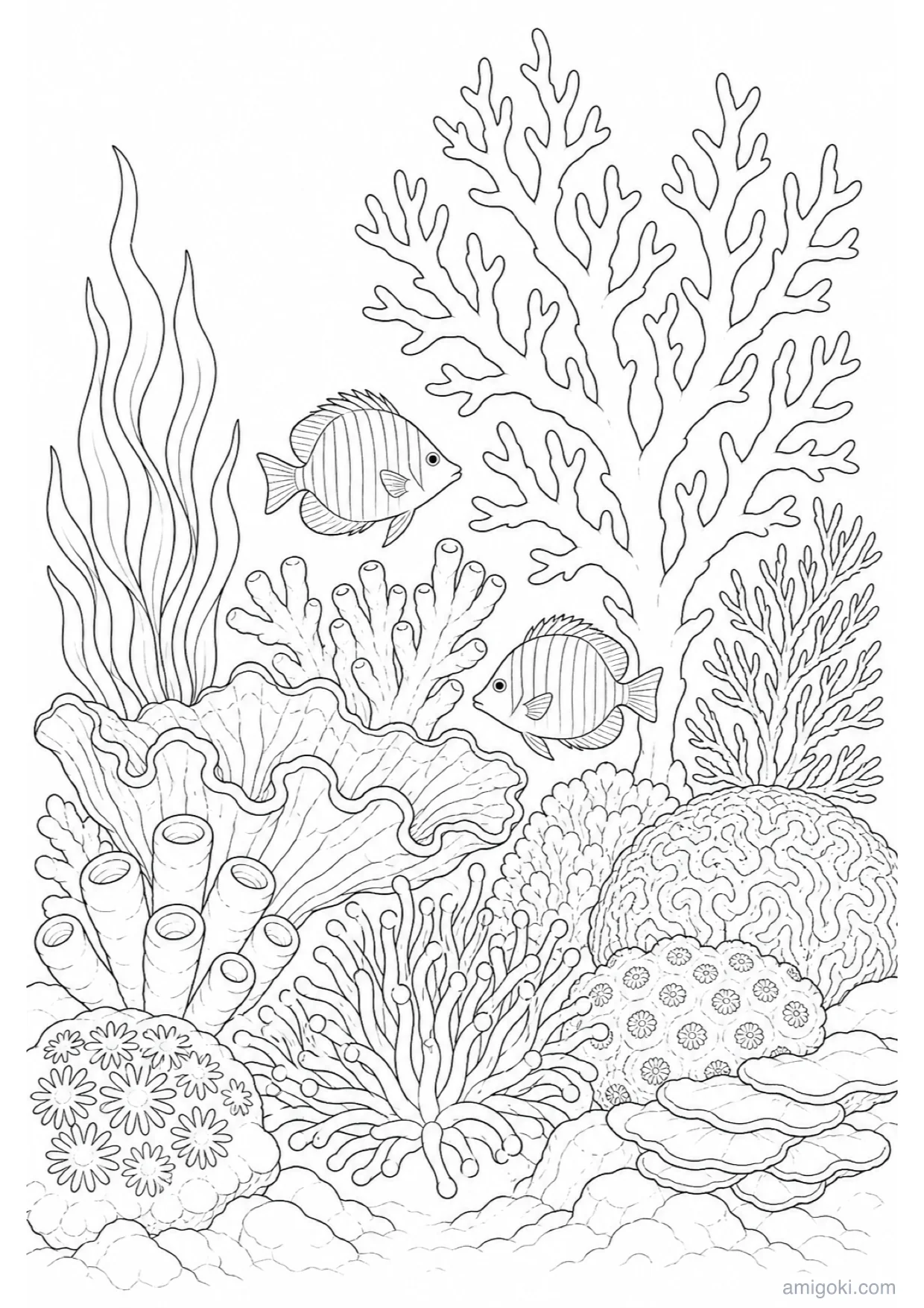 Coral Reef Coloring Page to Print Free
