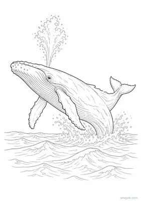 Ocean