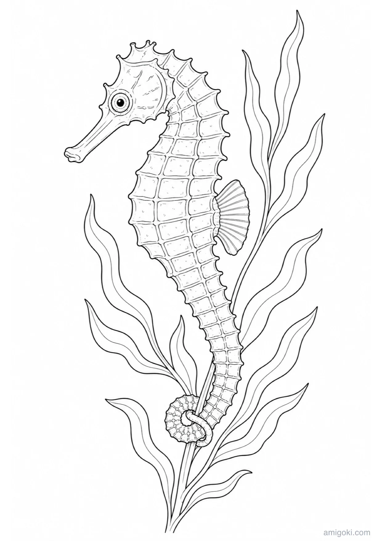 Dessin d'Hippocampe à Colorier et Imprimer