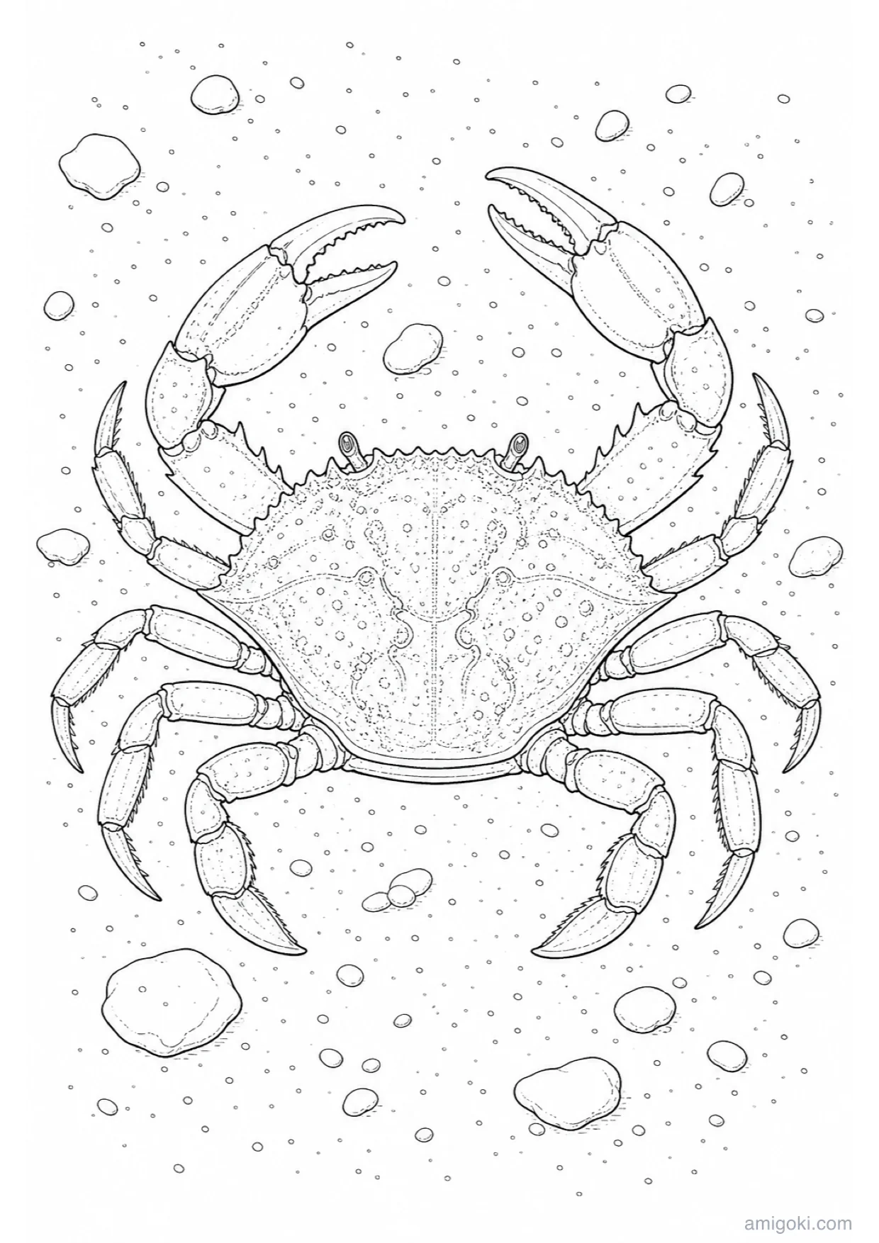 Dessin de Crabe à Colorier et Imprimer