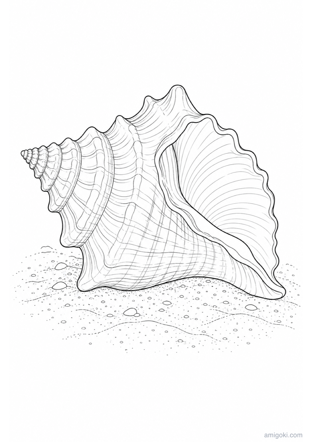Conch Seashell Coloring Page to Print Free