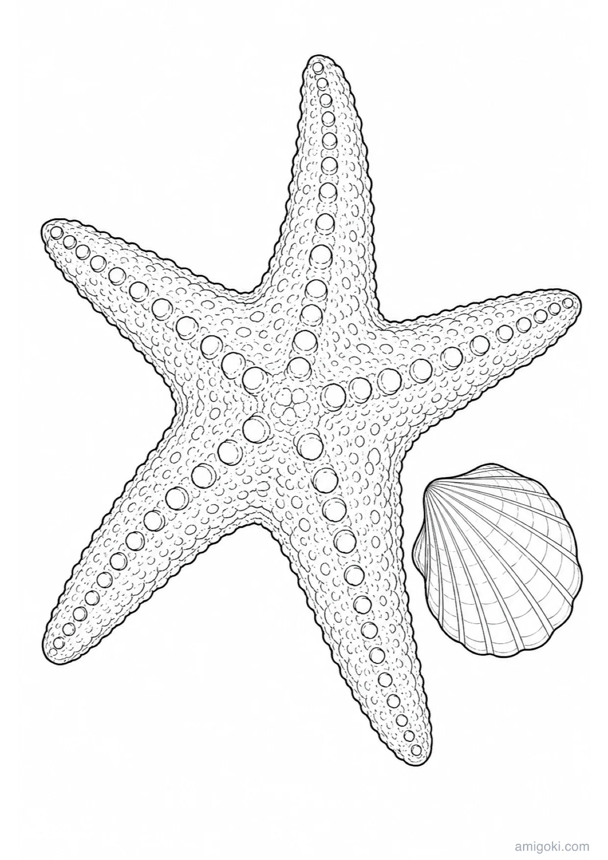 Desenho de Estrela-do-Mar para Colorir e Imprimir