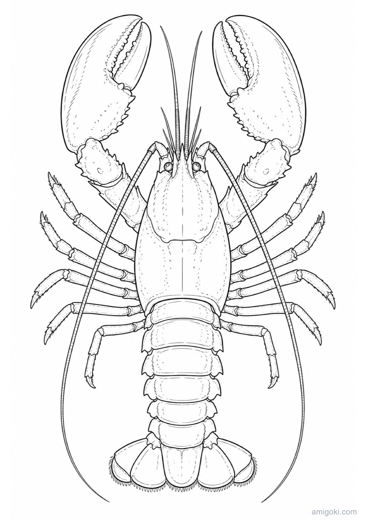 Lobster Coloring Page to Print Free