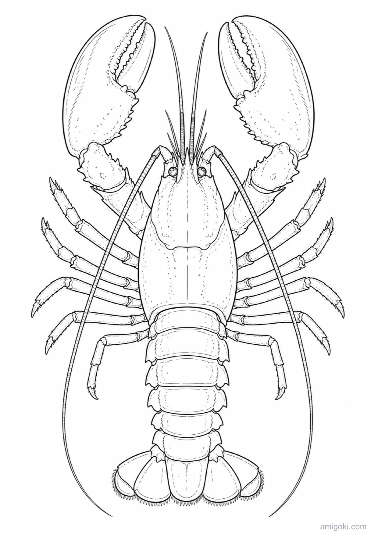 Desenho de Lagosta para Colorir e Imprimir