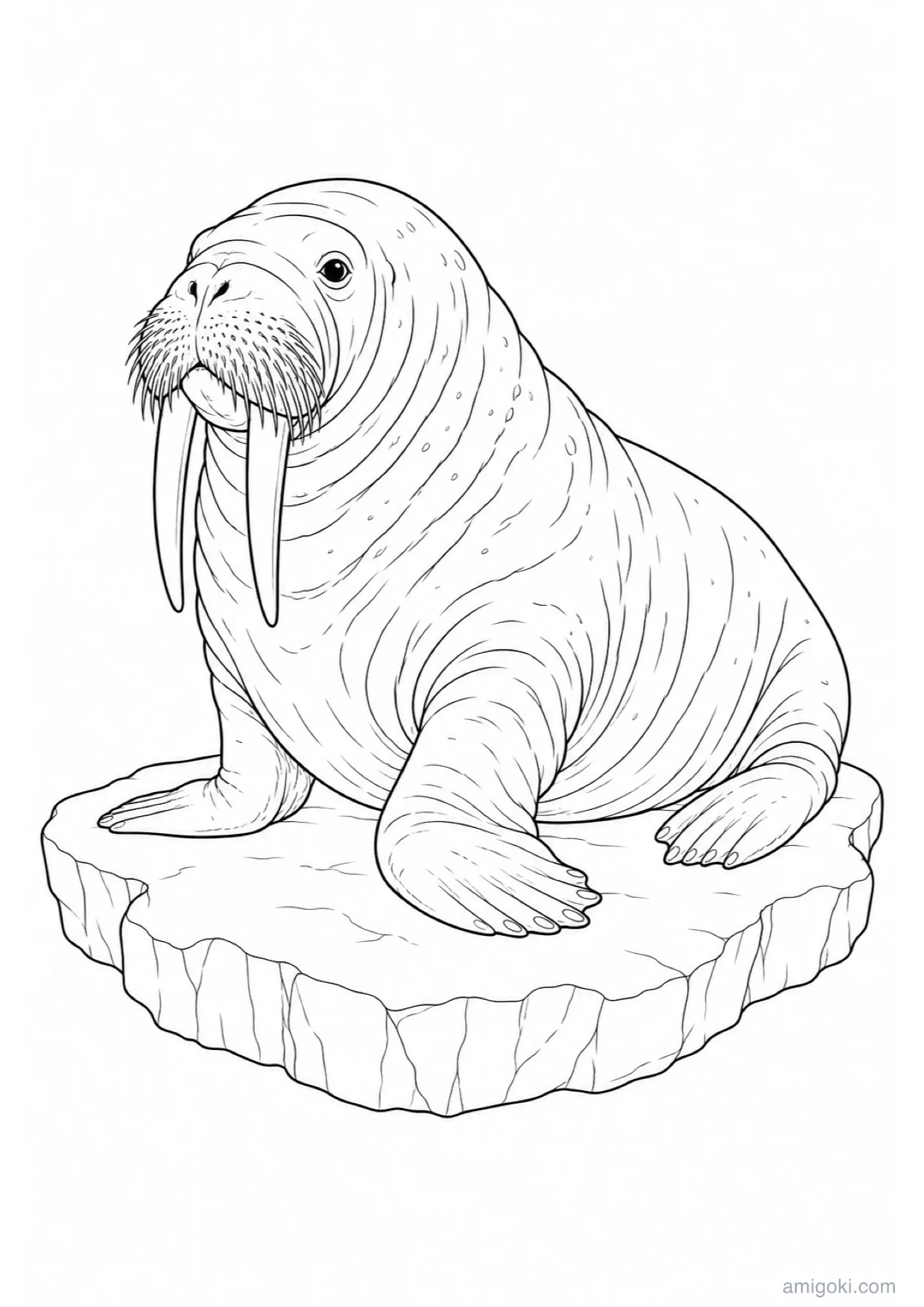 Dessin de Morse à Colorier et Imprimer