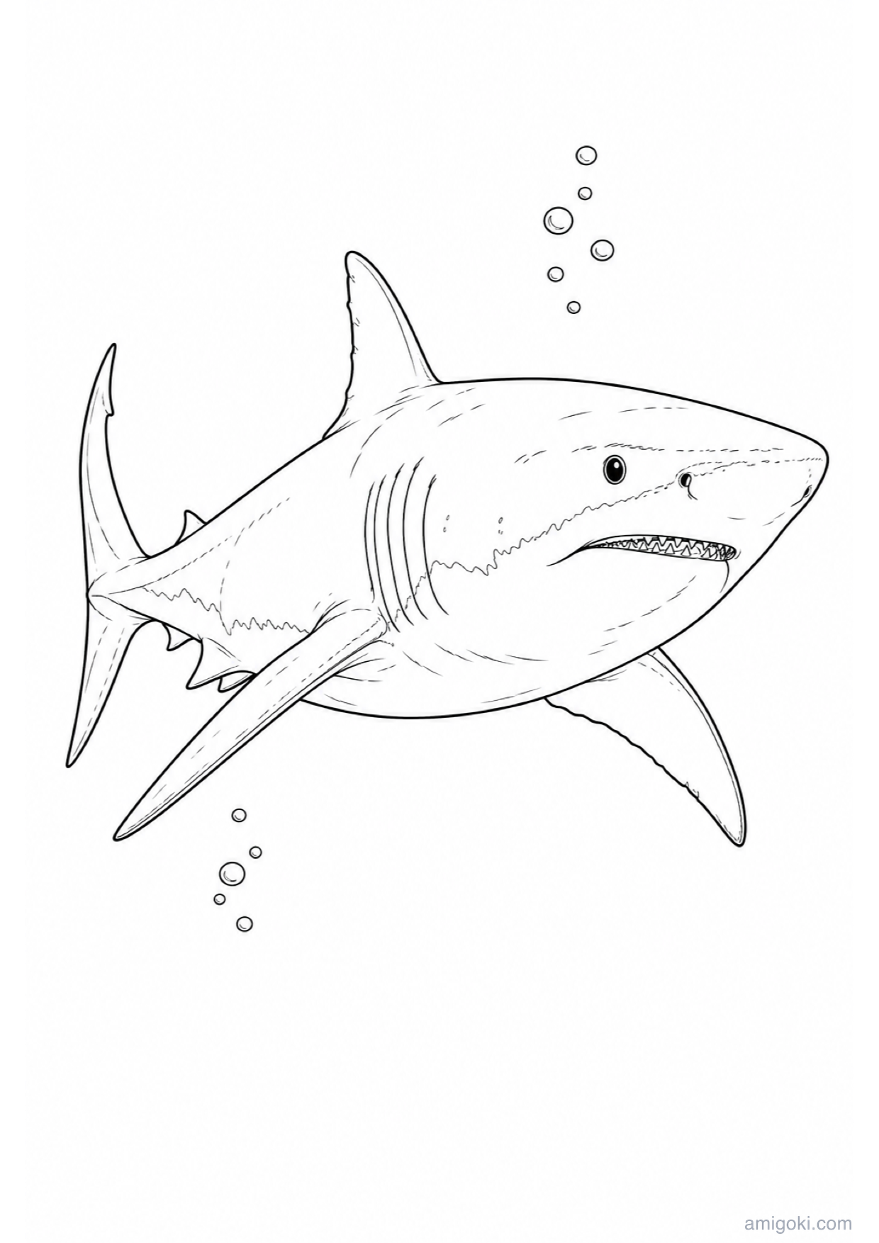 Dibujo de Tiburón para Colorear e Imprimir