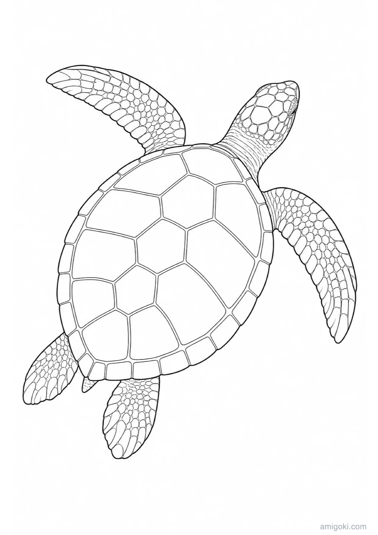 Sea Turtle Coloring Page to Print Free
