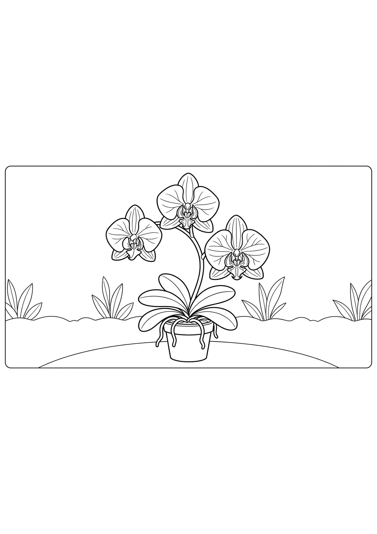 Orchid Coloring Page for Kids Ages 2 to 5