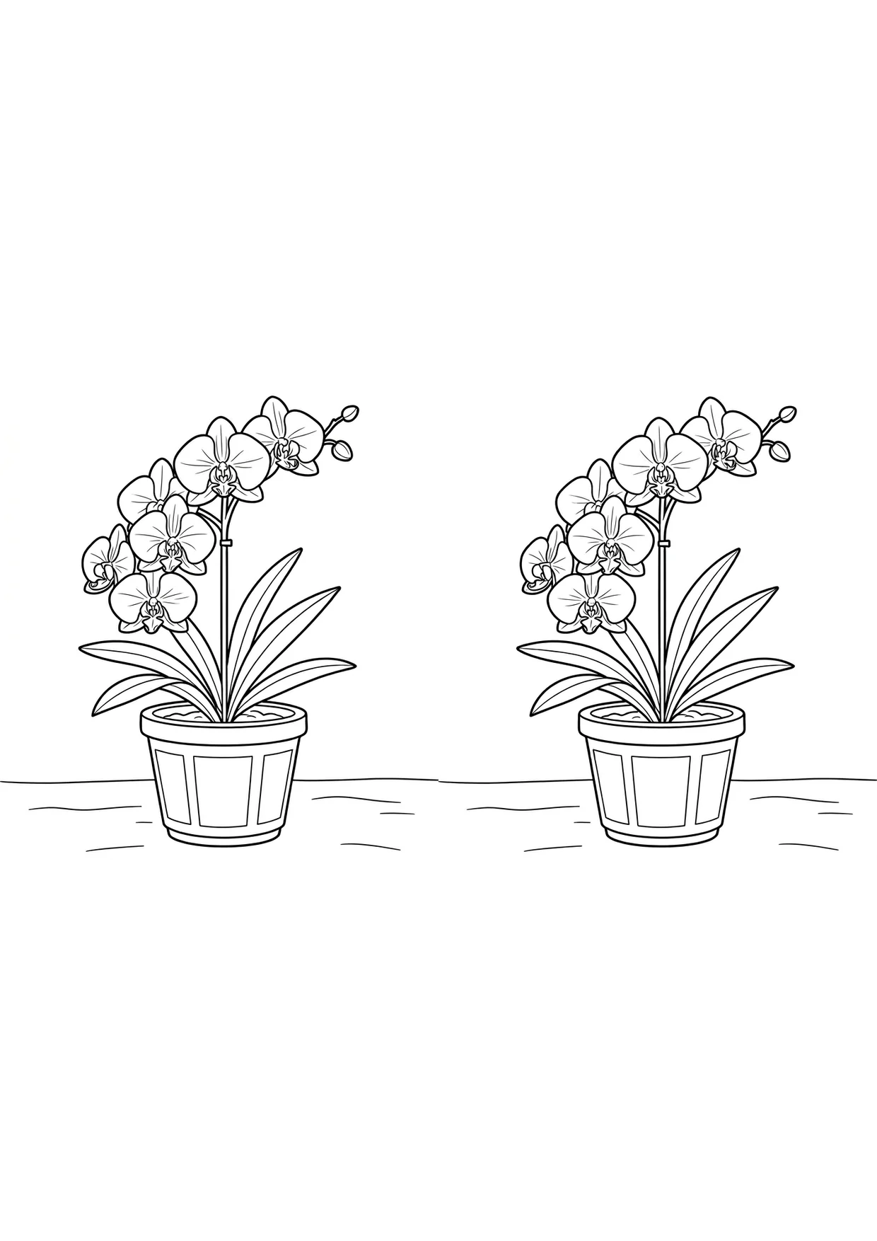 Dibujo de Orquídea en maceta para Colorear para Niños de 2 a 5 Años